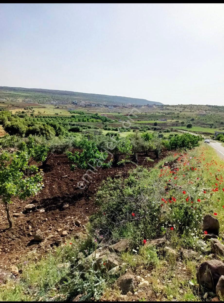 Şehitkamil Çağkuyu Mahallesinde Asfalt Üzeri Satlık Kupon Arazi - Görsel 9