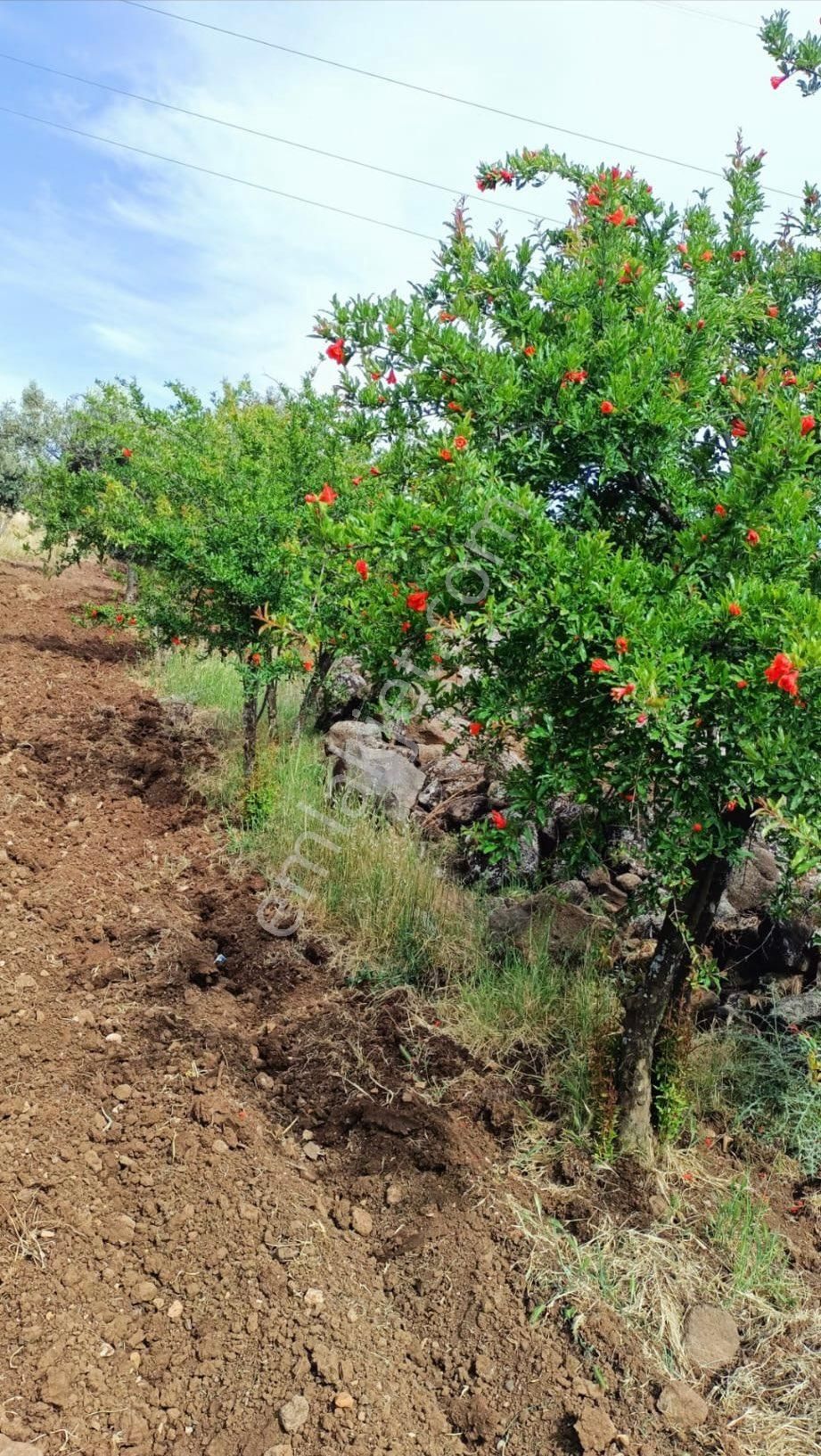 Şehitkamil Çağkuyu Mahallesinde Asfalt Üzeri Satlık Kupon Arazi - Görsel 5