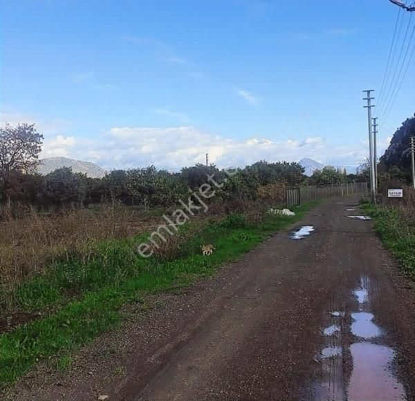Muğla Dalyan Marmarlı'da İmara Sınır Satılık Yatırımlık Arazi - Görsel 7