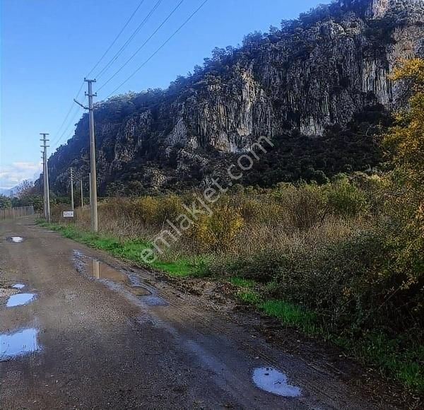 Muğla Dalyan Marmarlı'da İmara Sınır Satılık Yatırımlık Arazi - Görsel 23