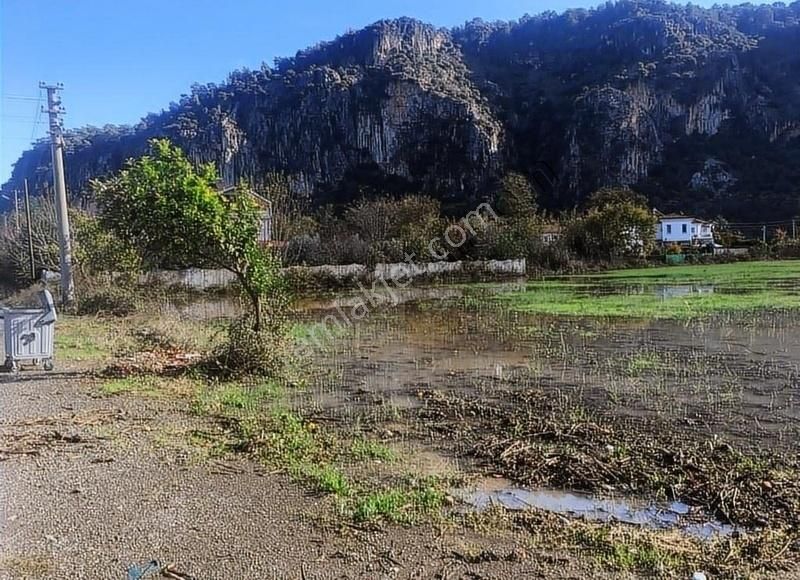 Muğla Dalyan Marmarlı'da İmara Sınır Satılık Yatırımlık Arazi - Görsel 10