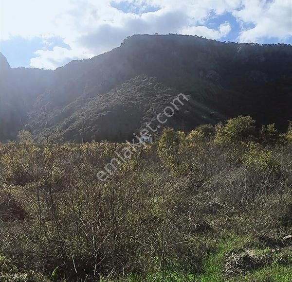 Muğla Dalyan Marmarlı'da İmara Sınır Satılık Yatırımlık Arazi - Görsel 13
