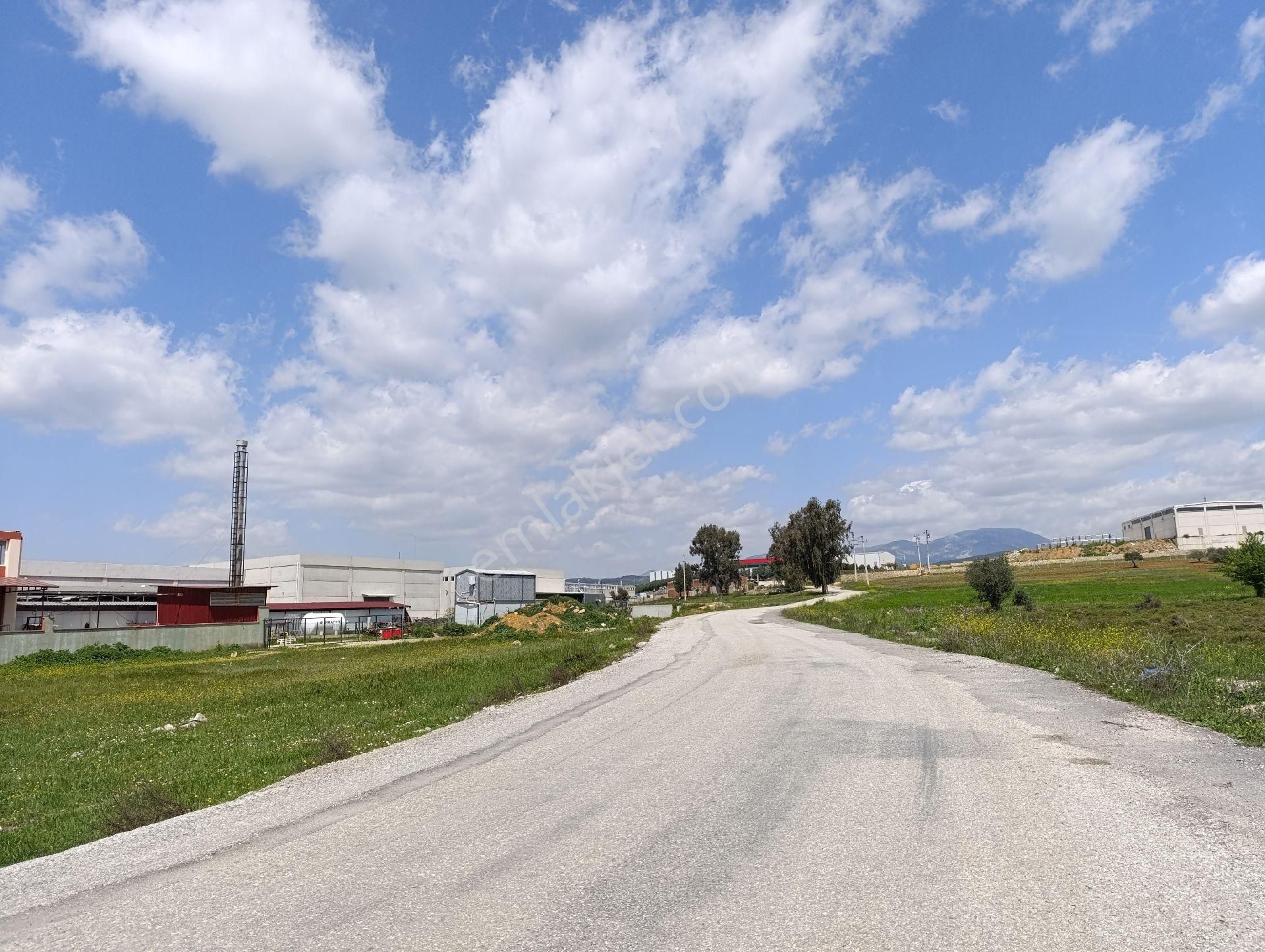 İzmir Torbalı Yazıbaşında Satılık Tarla