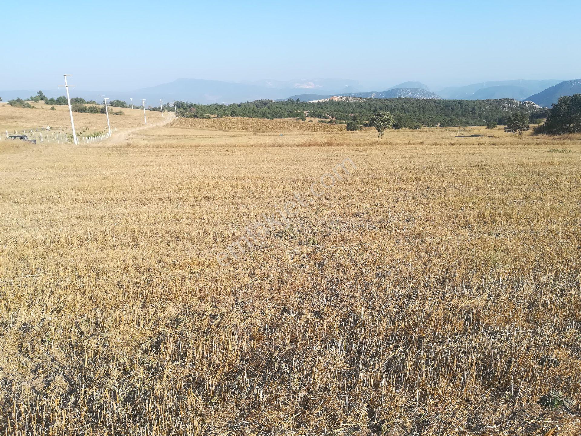 Doğa İle İç İçe Tarım, Çiftlik, Tesise Uygun Otoyola 6 Km - Görsel 9