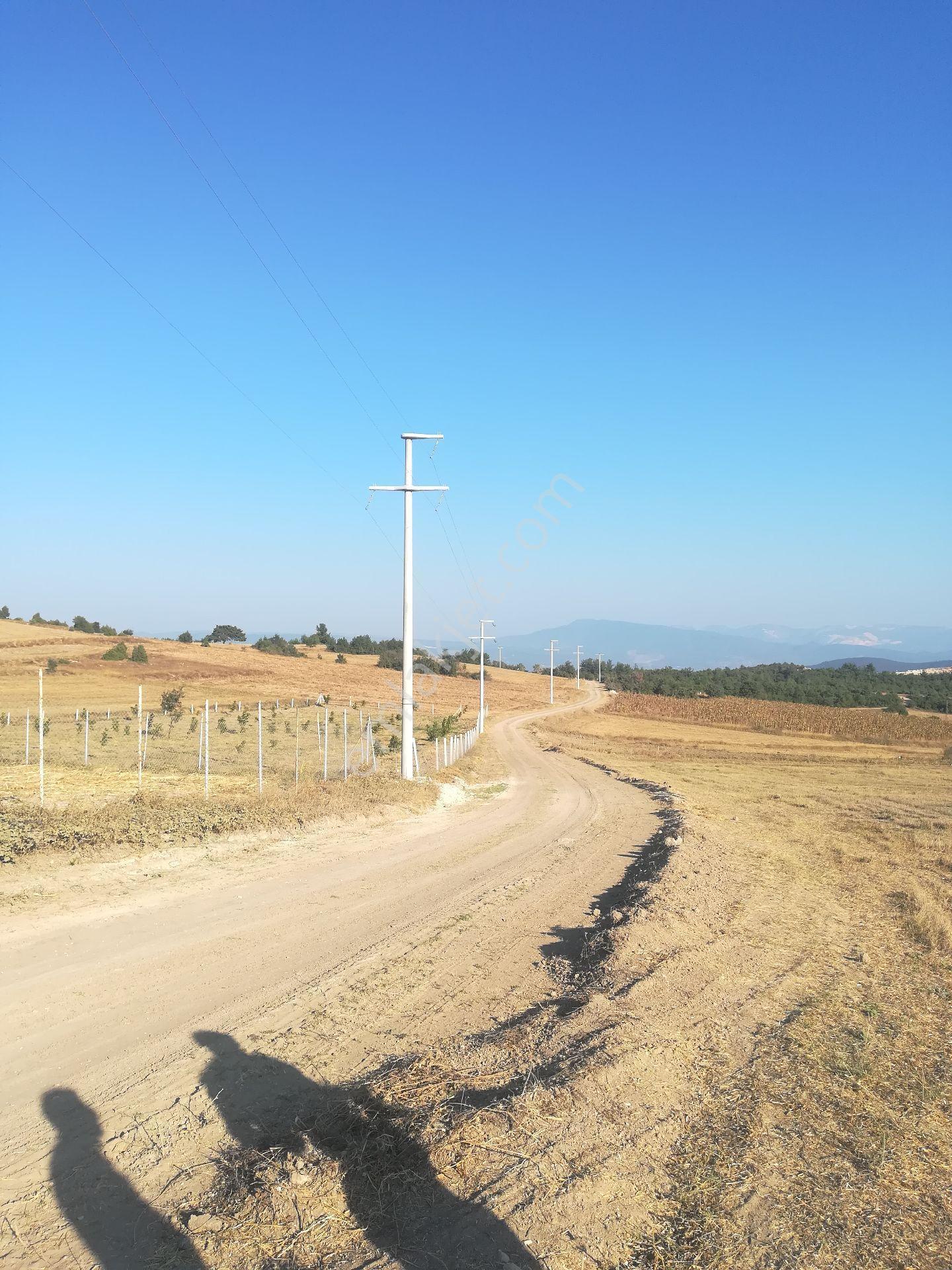 Doğa İle İç İçe Tarım, Çiftlik, Tesise Uygun Otoyola 6 Km - Görsel 10