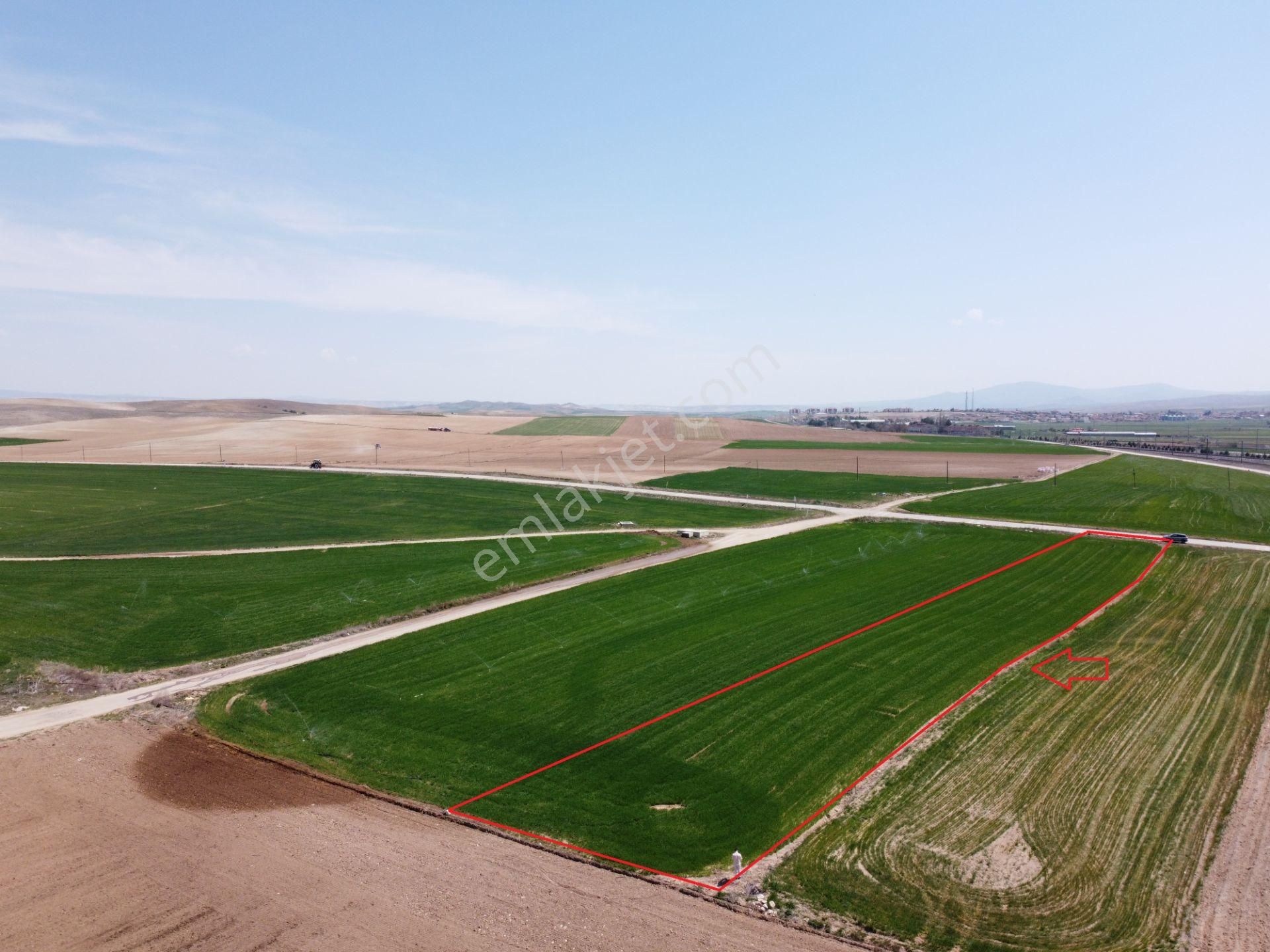 Eskişehir Beylikova Da Asfalta Cephe 2907m2 Tek Tapu Tarla