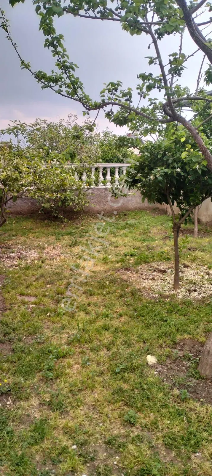 Bornova Atatürk Mah. 2+1 Kiralık Daire - Görsel 2