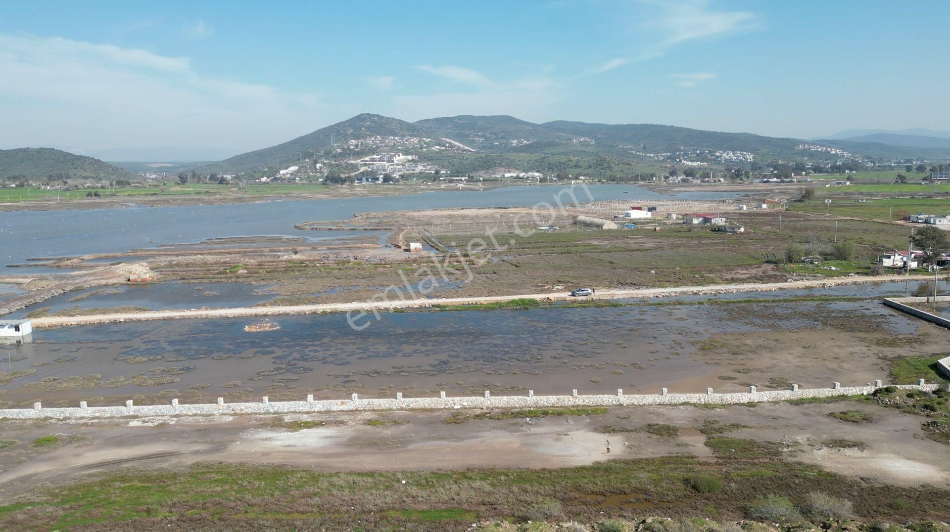 Milas Dörttepe'de Bodrum Milas Karayoluna 1km Mesafede 11 Dönüm Tarla - Görsel 16