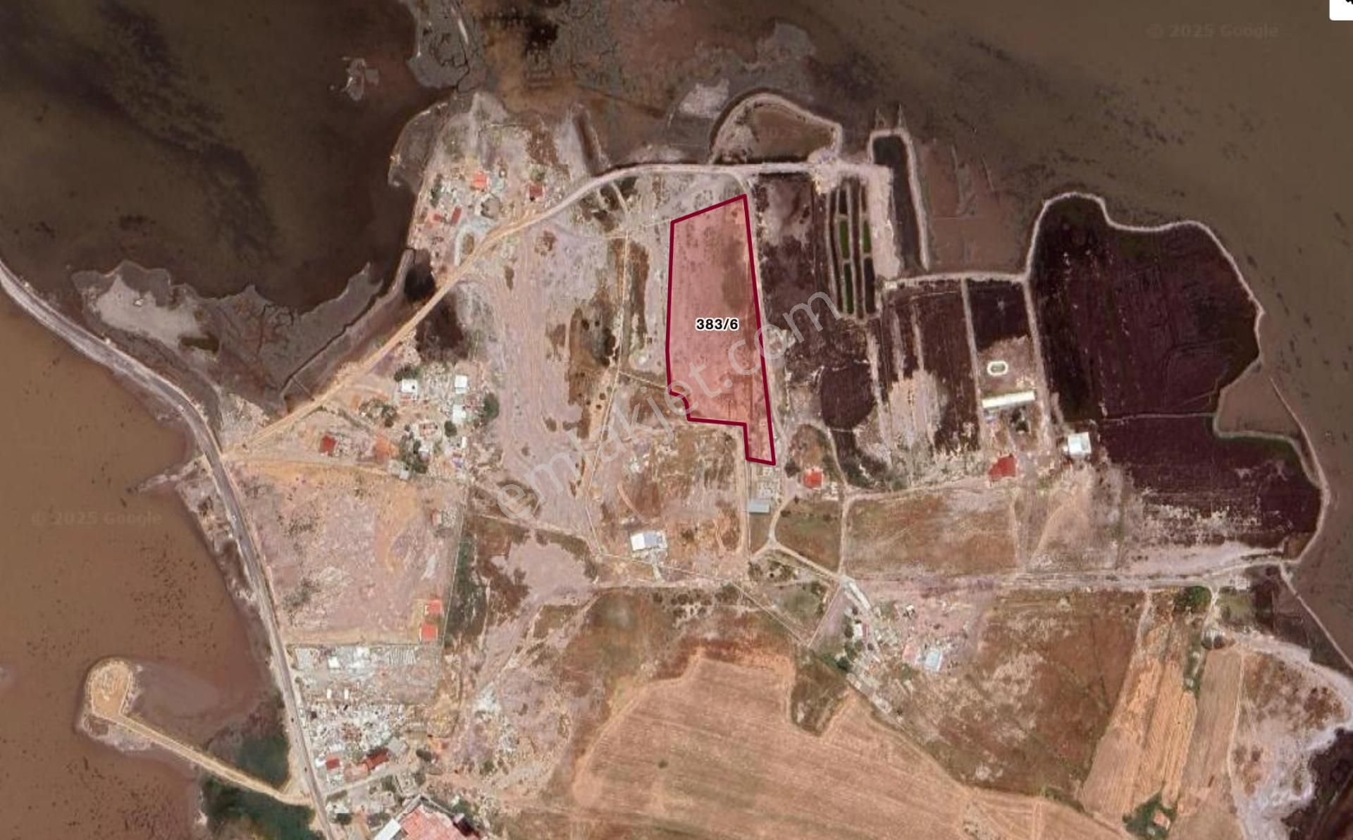 Milas Dörttepe'de Bodrum Milas Karayoluna 1km Mesafede 11 Dönüm Tarla - Görsel 4