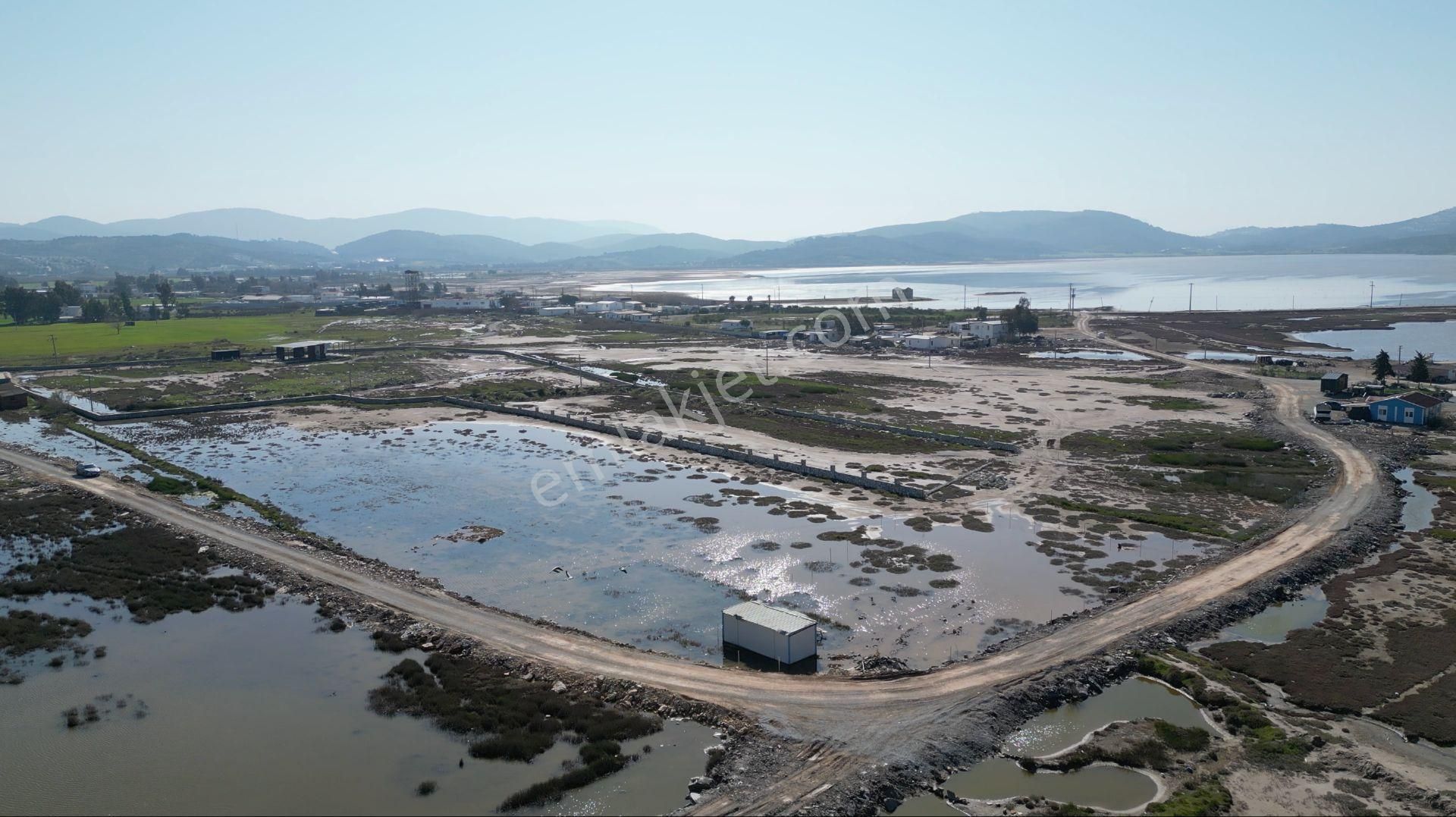 Milas Dörttepe'de Bodrum Milas Karayoluna 1km Mesafede 11 Dönüm Tarla - Görsel 13