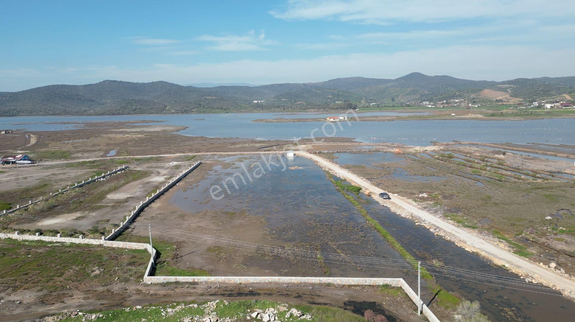 Milas Dörttepe'de Bodrum Milas Karayoluna 1km Mesafede 11 Dönüm Tarla - Görsel 18