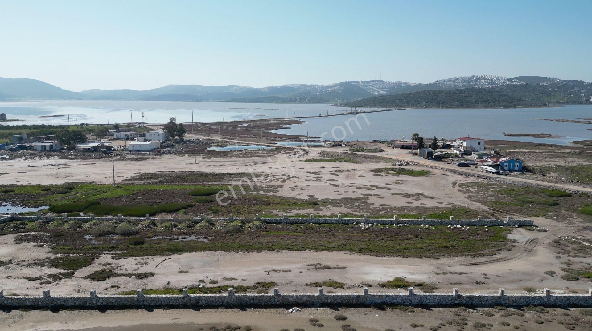 Milas Dörttepe'de Bodrum Milas Karayoluna 1km Mesafede 11 Dönüm Tarla - Görsel 20