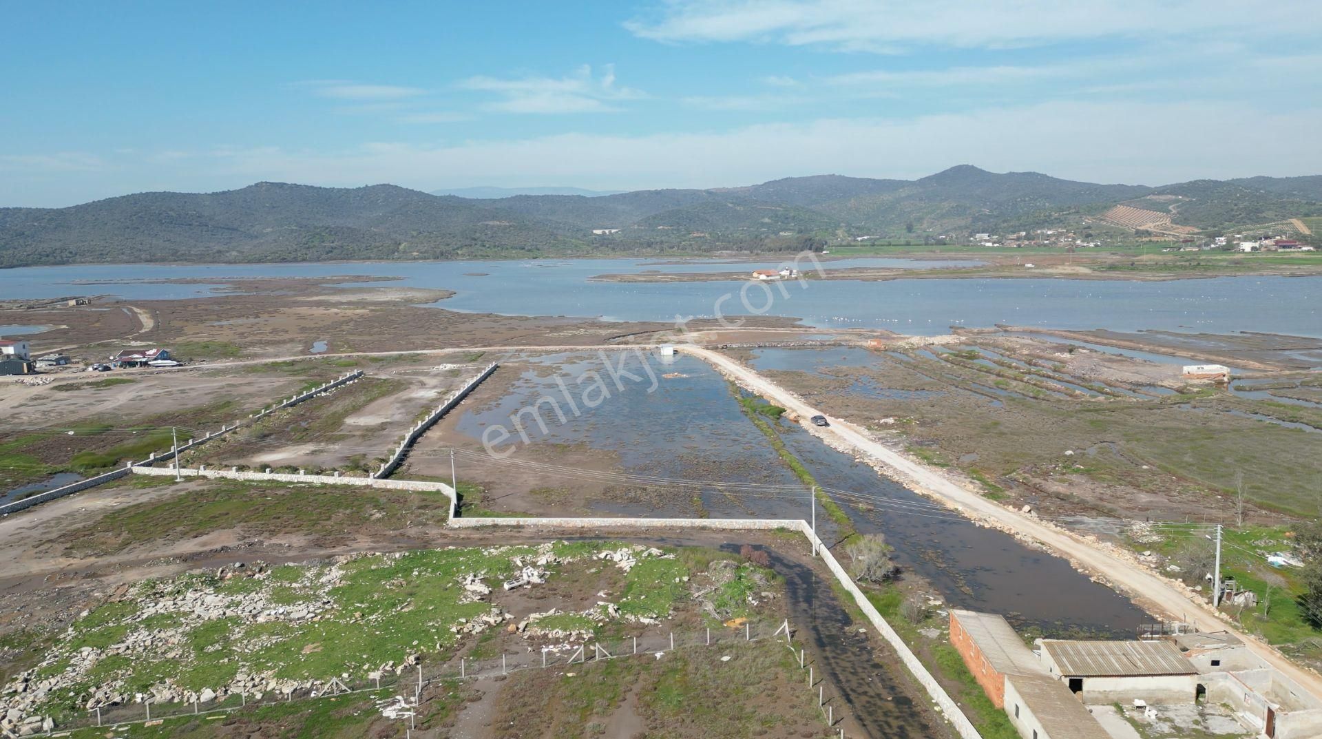 Milas Dörttepe'de Bodrum Milas Karayoluna 1km Mesafede 11 Dönüm Tarla - Görsel 19