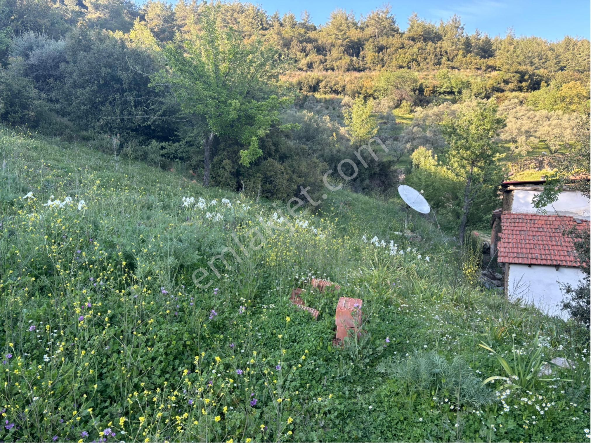 Yeni Dünyada Yerini Al. Yayla’da Muhteşem Doğa Manzaralı Köy Evi Ve Arsası - Görsel 24