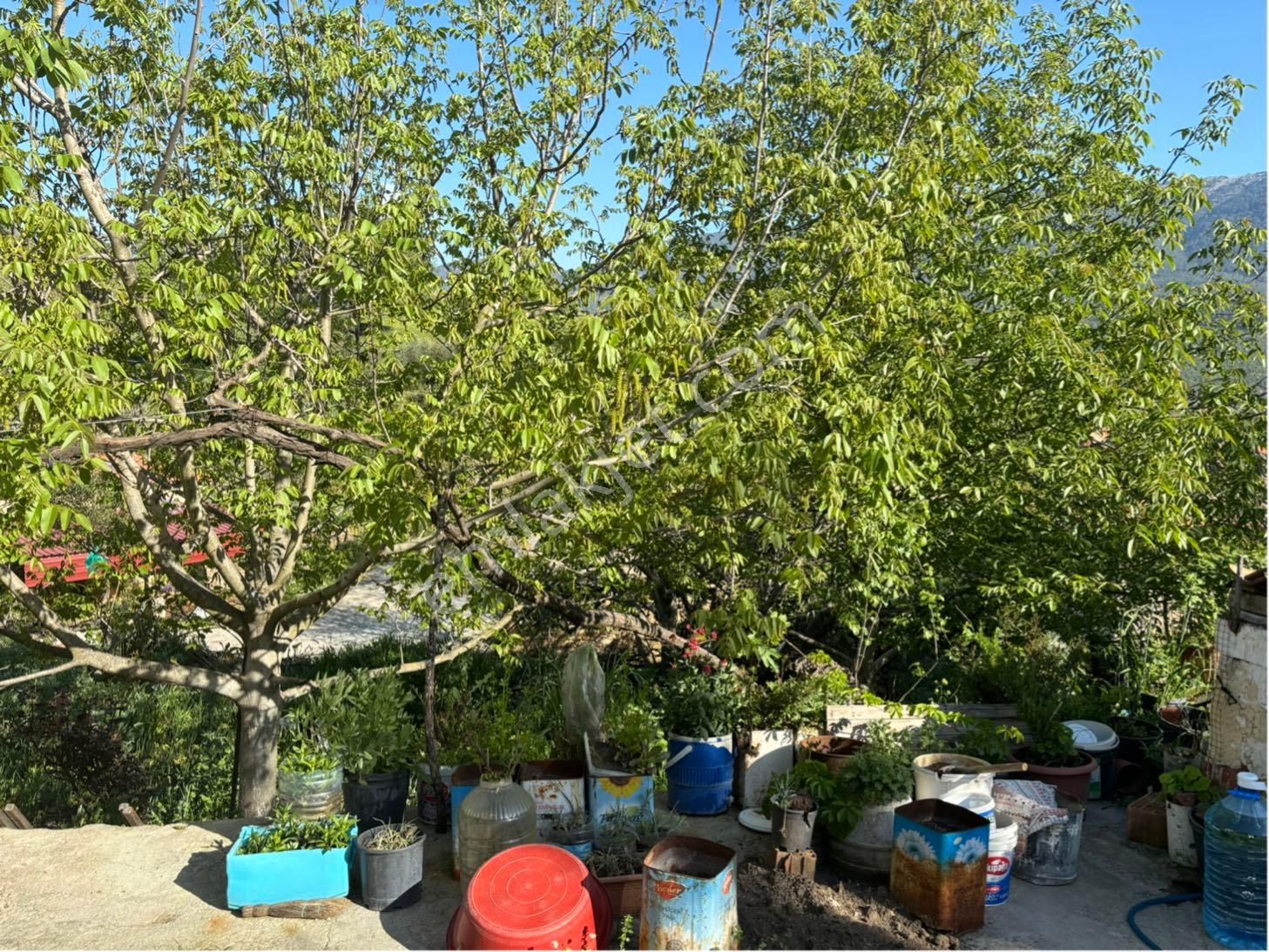 Yeni Dünyada Yerini Al. Yayla’da Muhteşem Doğa Manzaralı Köy Evi Ve Arsası - Görsel 20