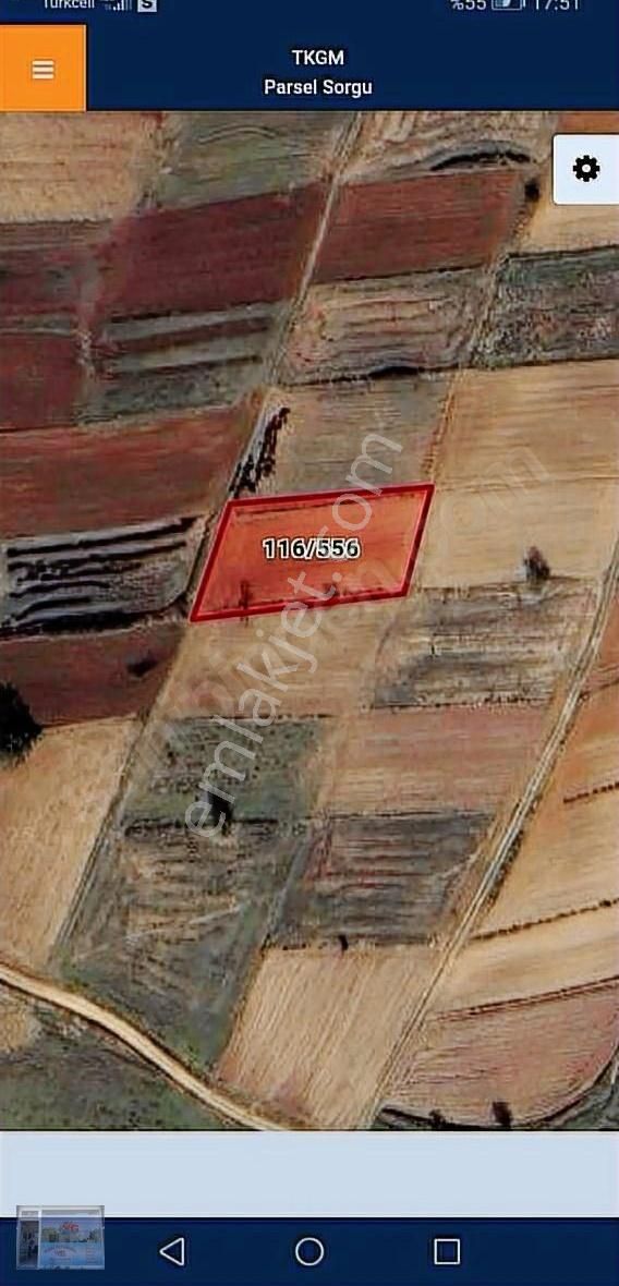 Tekırdag Saray Yuvalı Da Satılık 1483 M2 Tek Tapu Bağ Yeri