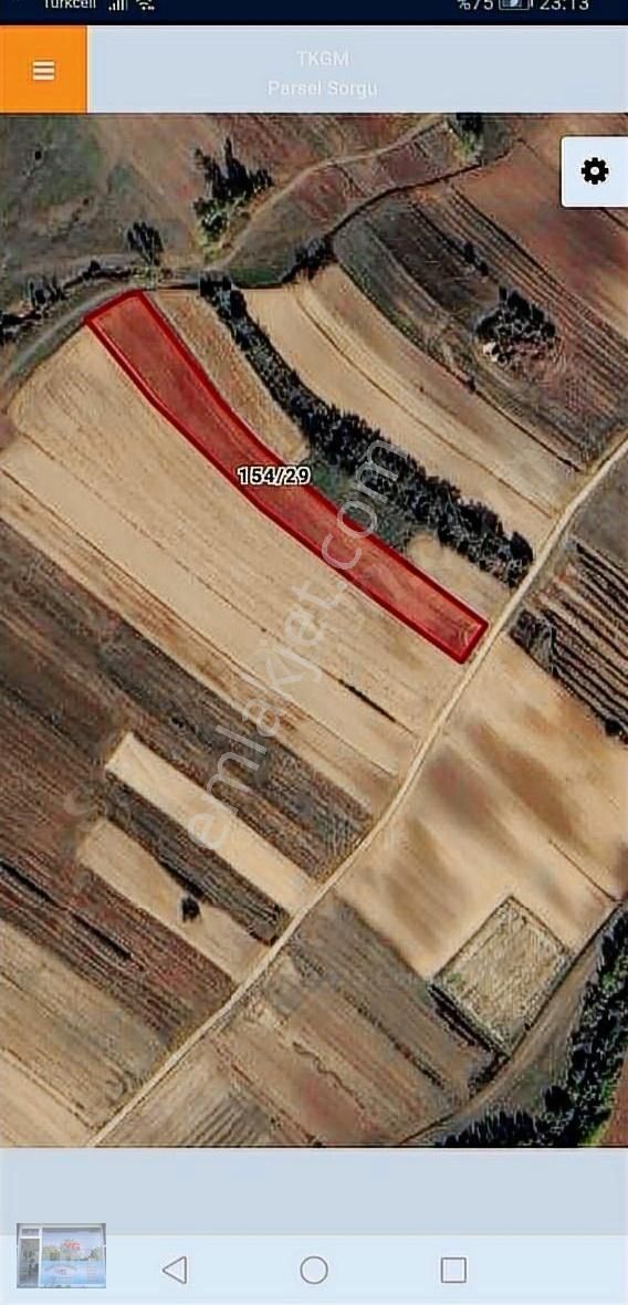 Tekırdag Saray Çayla Köyünde Satılık 6262 M2 Tek Tapu Tarla