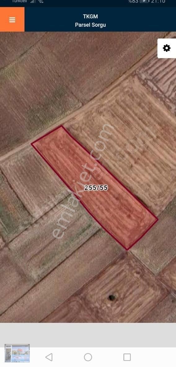 Tekırdag Saray Beyazkoy De Satılık 4623 M2 Tek Tapu Tarla