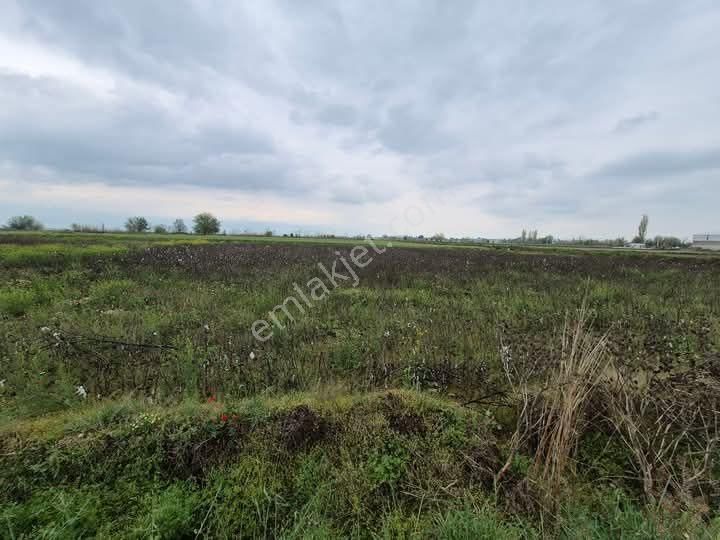 Mirac Emlaktan Denizli Sarayköy Merkezde 3.500 M2 Verimli Sulak Arazimiz Satılıktır - Görsel 2