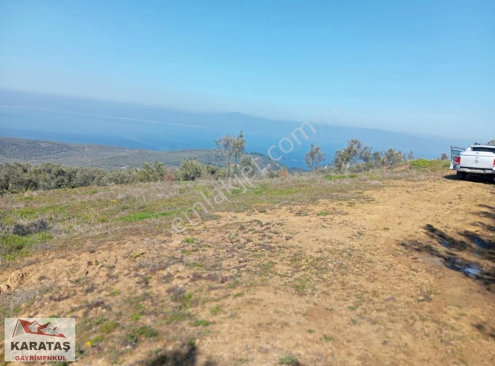 Mudanya Tirilyede Satılık Kupon Zeytinlik - Görsel 7