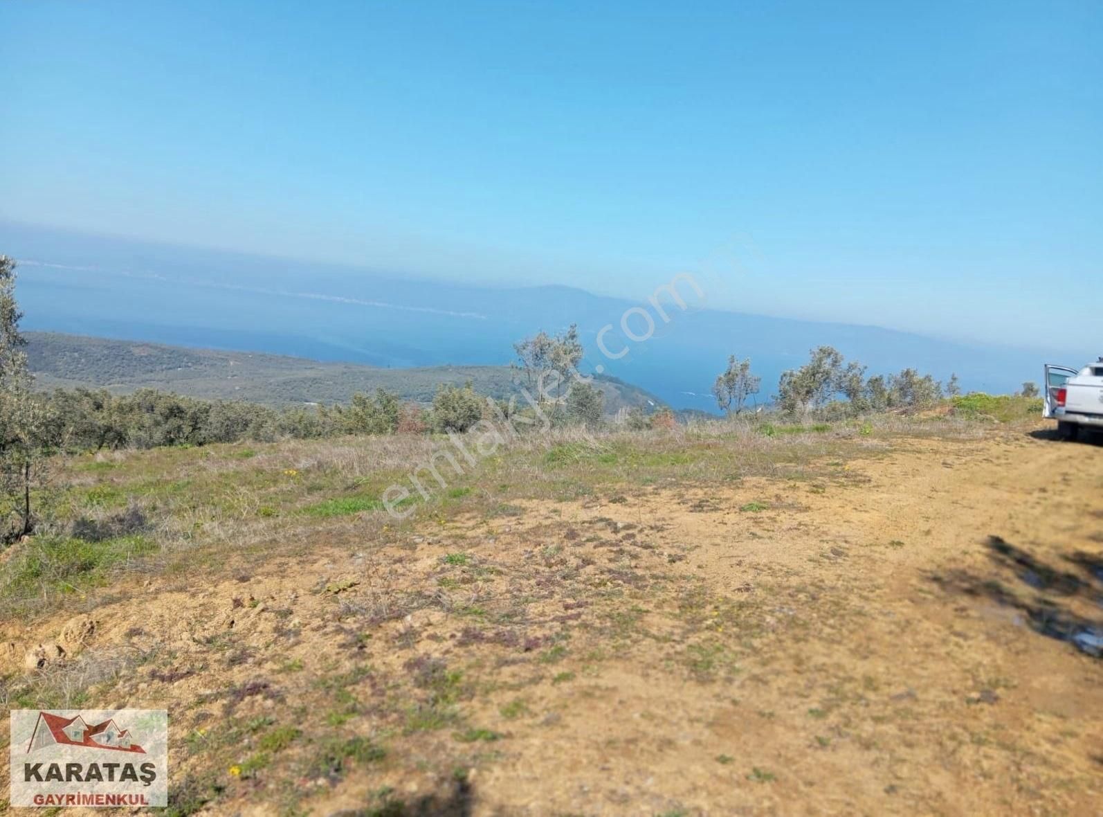 Mudanya Tirilyede Satılık Kupon Zeytinlik - Görsel 6