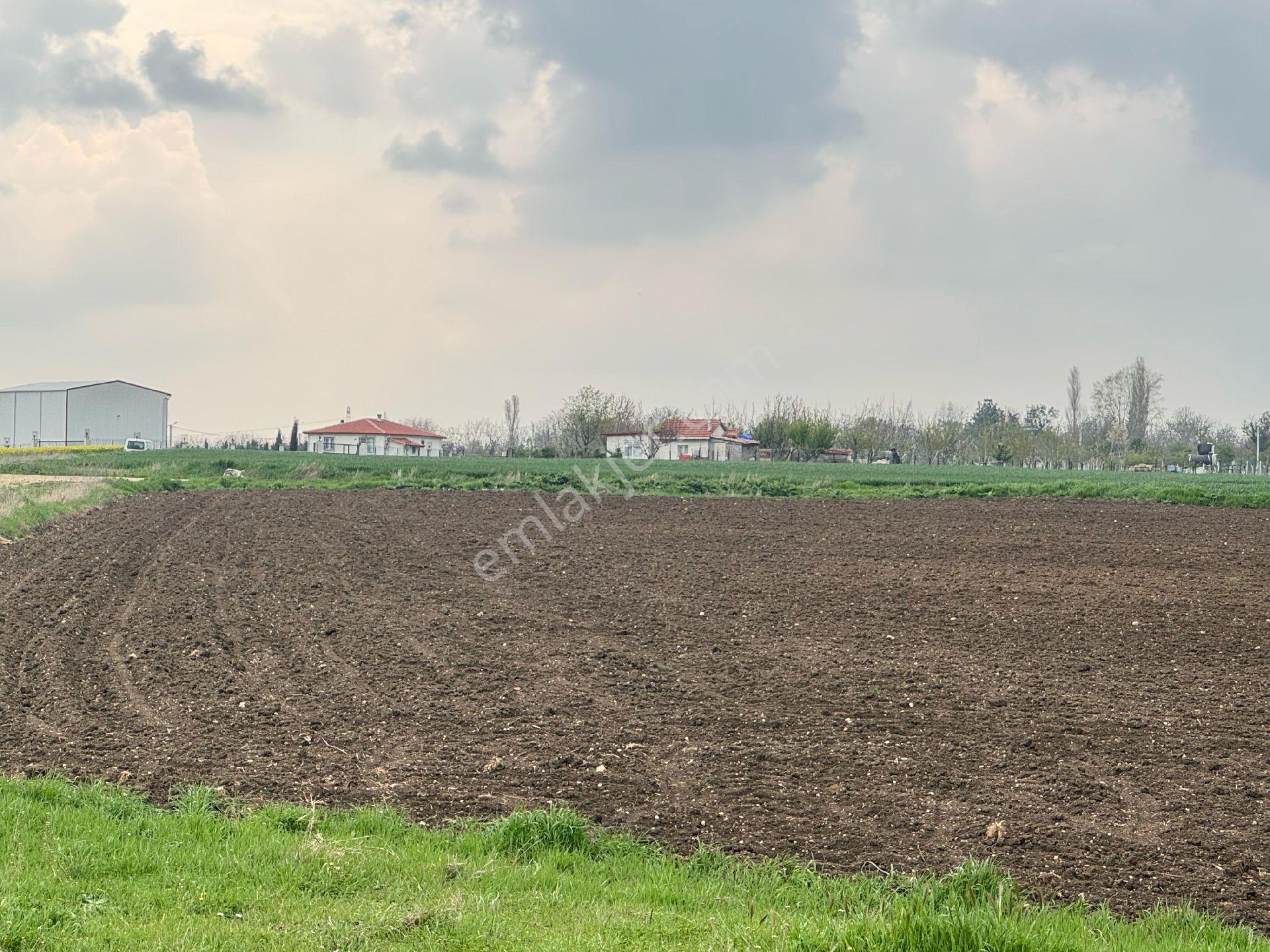 Vize Düzova Mahalle Yanında 225 M2 Yerimiz Satışta (uygun Fiyat) - Görsel 7