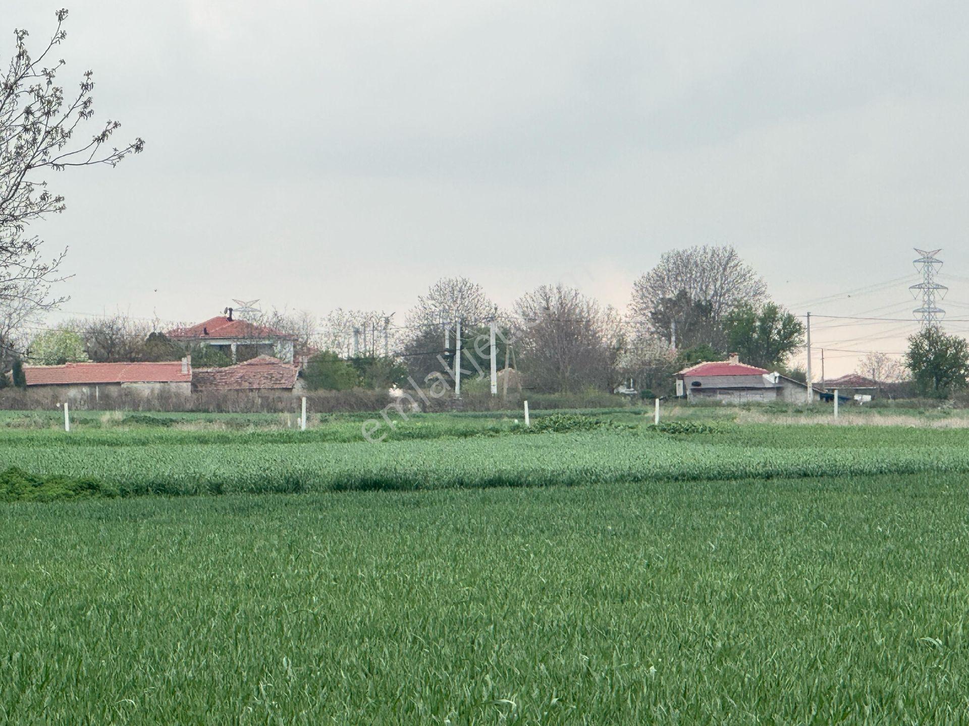 Vize Düzova Mahalle Yanında 225 M2 Yerimiz Satışta (uygun Fiyat) - Görsel 10