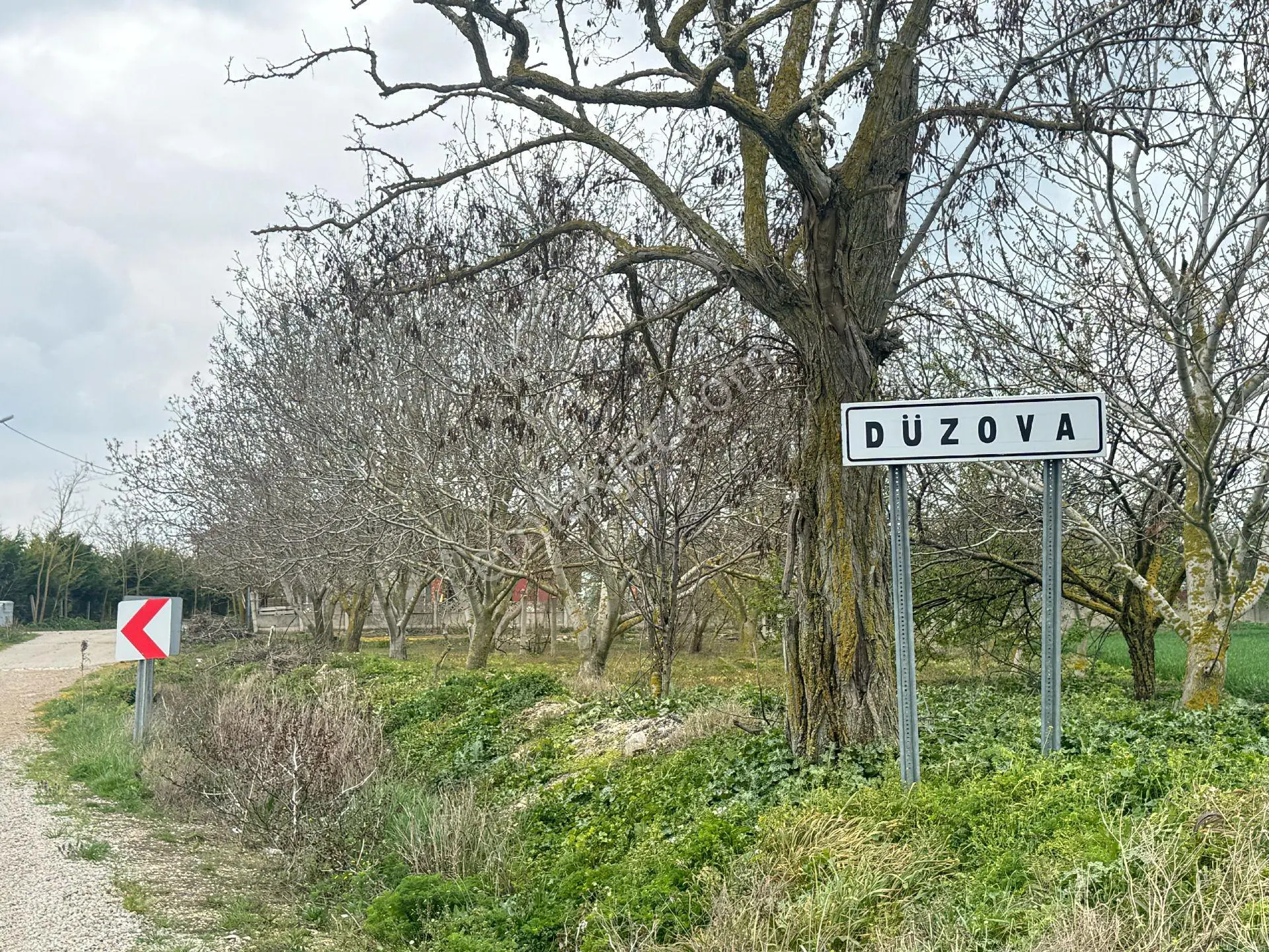 Vize Düzova Mahalle Yanında 225 M2 Yerimiz Satışta (uygun Fiyat) - Görsel 2