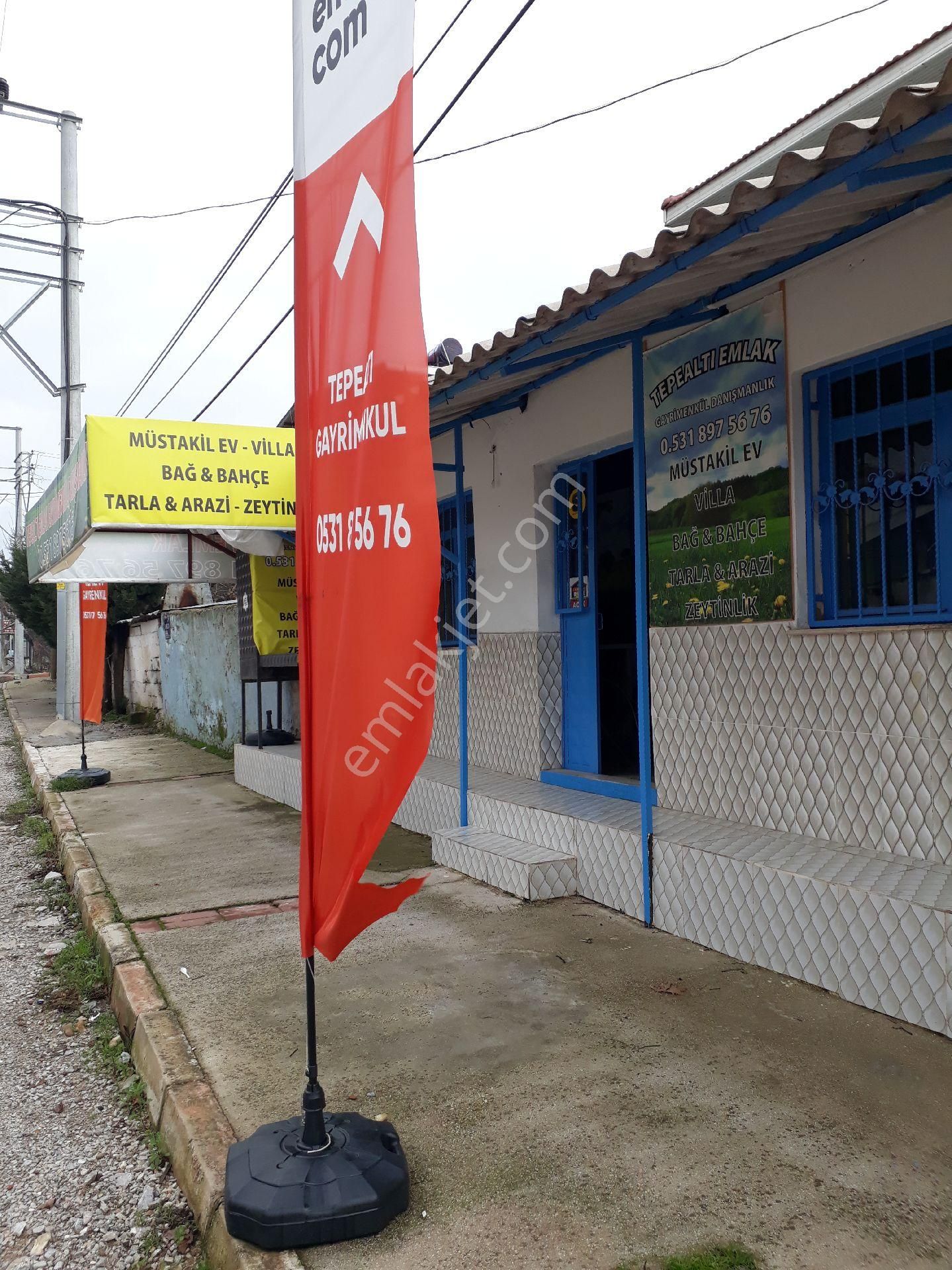 Seferihisar Orhanlıda 3500m2 Zeytinli Tarla .resmi Yola Cepheli - Görsel 7