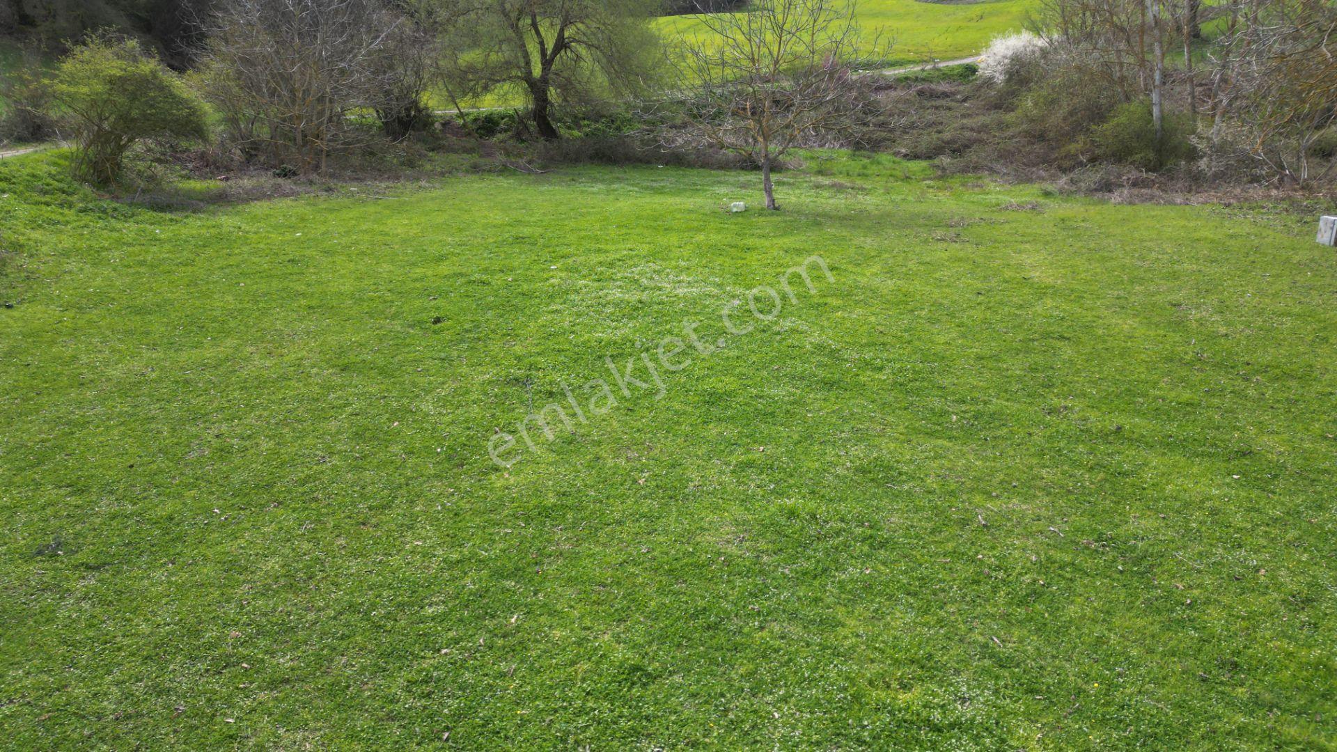 Kocaeli Karamürsel Semetler %5 İmarlı Satılık 3789 M2 Tarla - Görsel 9