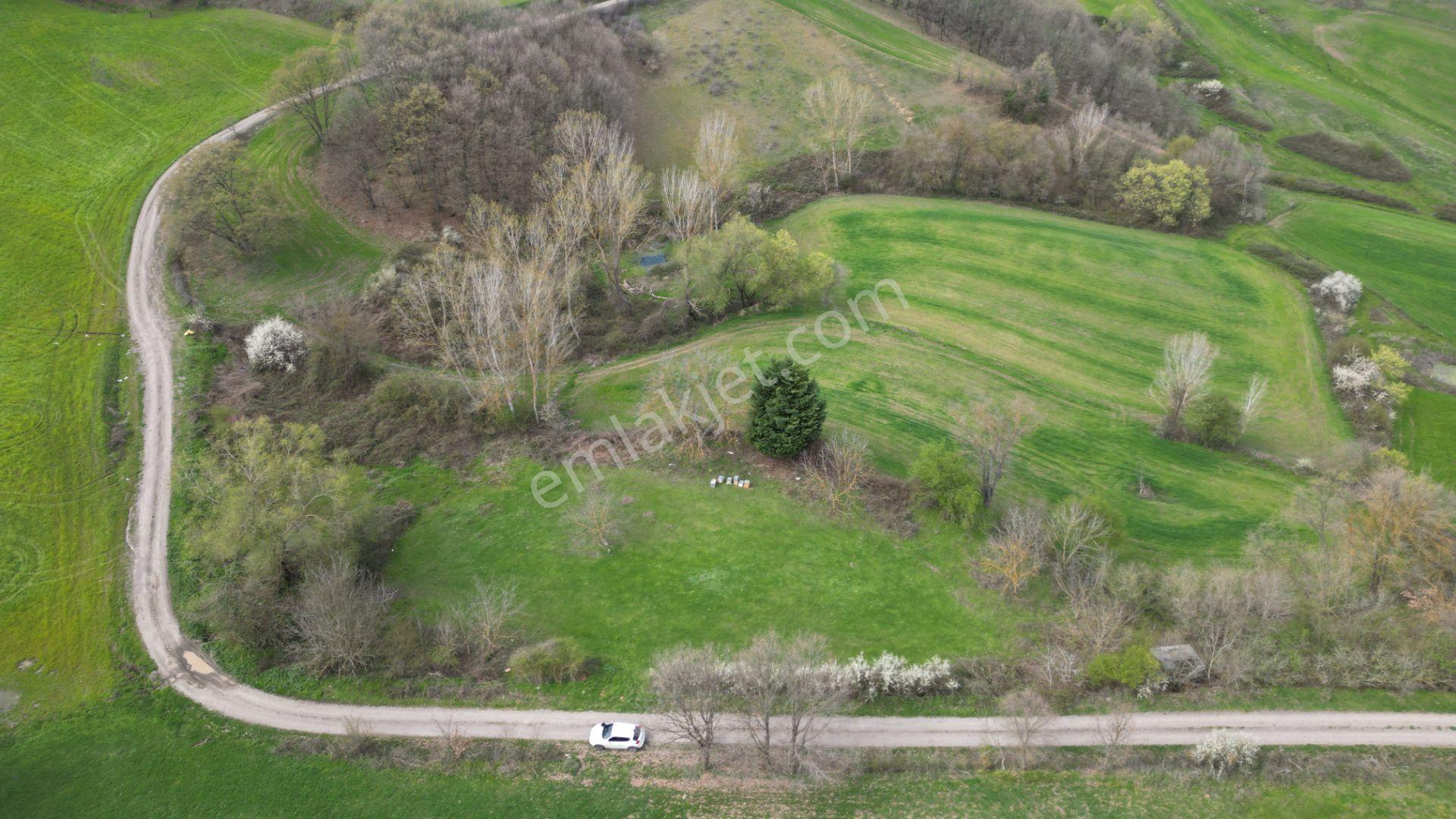 Kocaeli Karamürsel Semetler %5 İmarlı Satılık 3789 M2 Tarla - Görsel 5