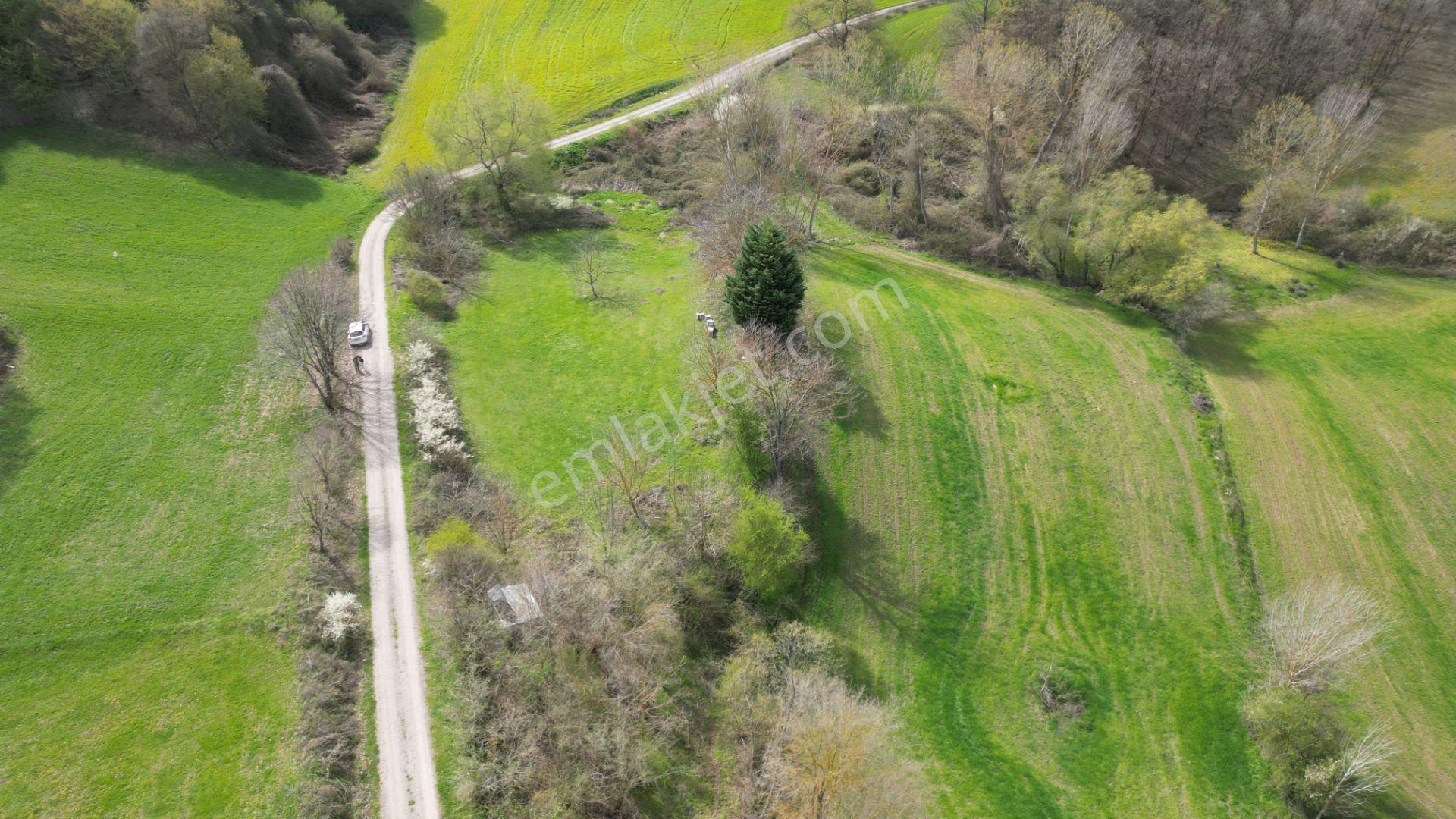 Kocaeli Karamürsel Semetler %5 İmarlı Satılık 3789 M2 Tarla - Görsel 3