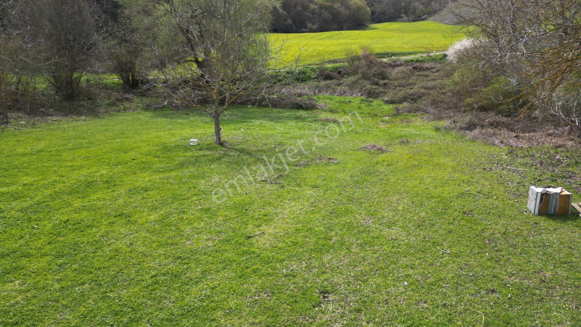 Kocaeli Karamürsel Semetler %5 İmarlı Satılık 3789 M2 Tarla - Görsel 4