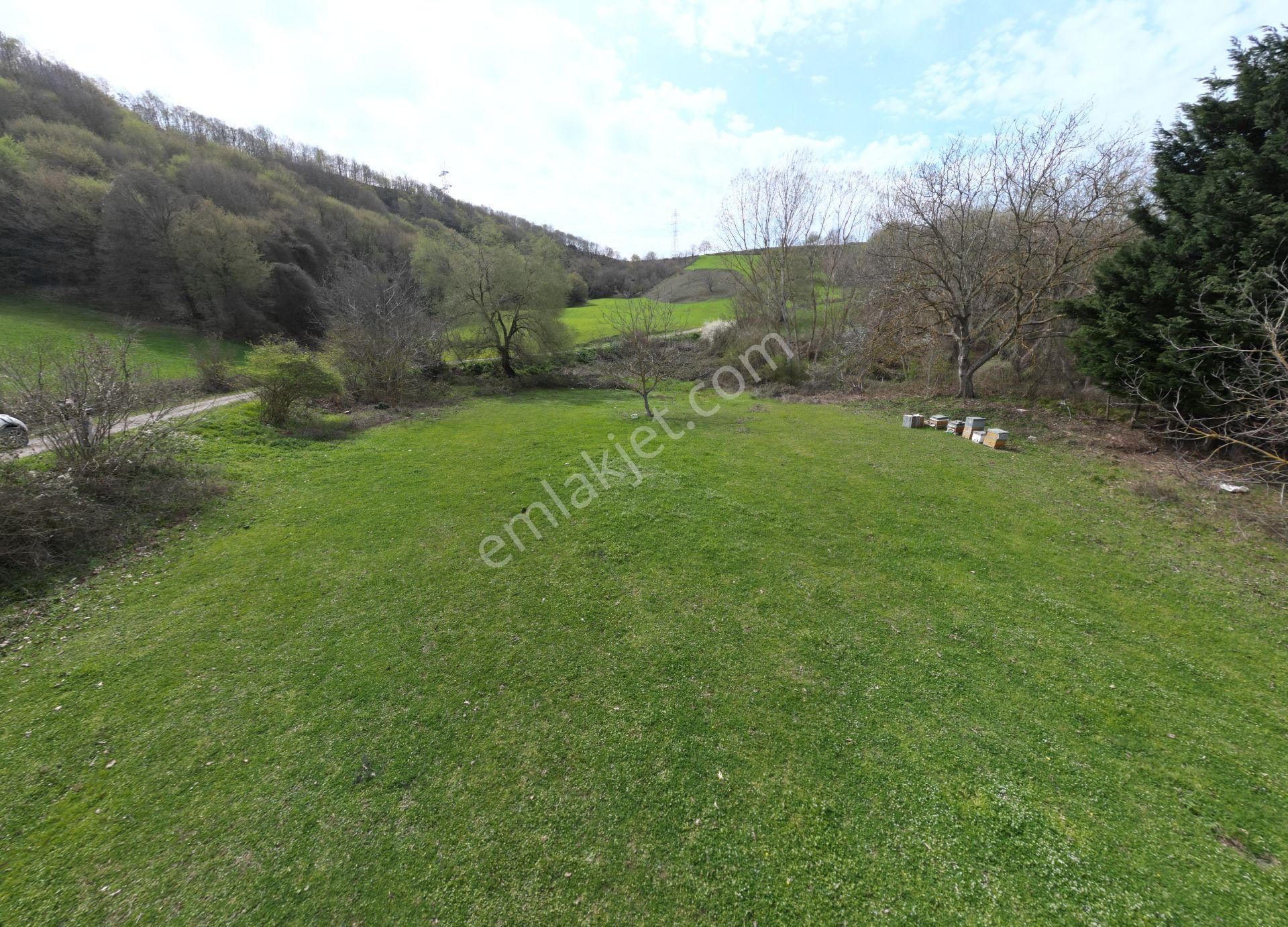 Kocaeli Karamürsel Semetler %5 İmarlı Satılık 3789 M2 Tarla - Görsel 2