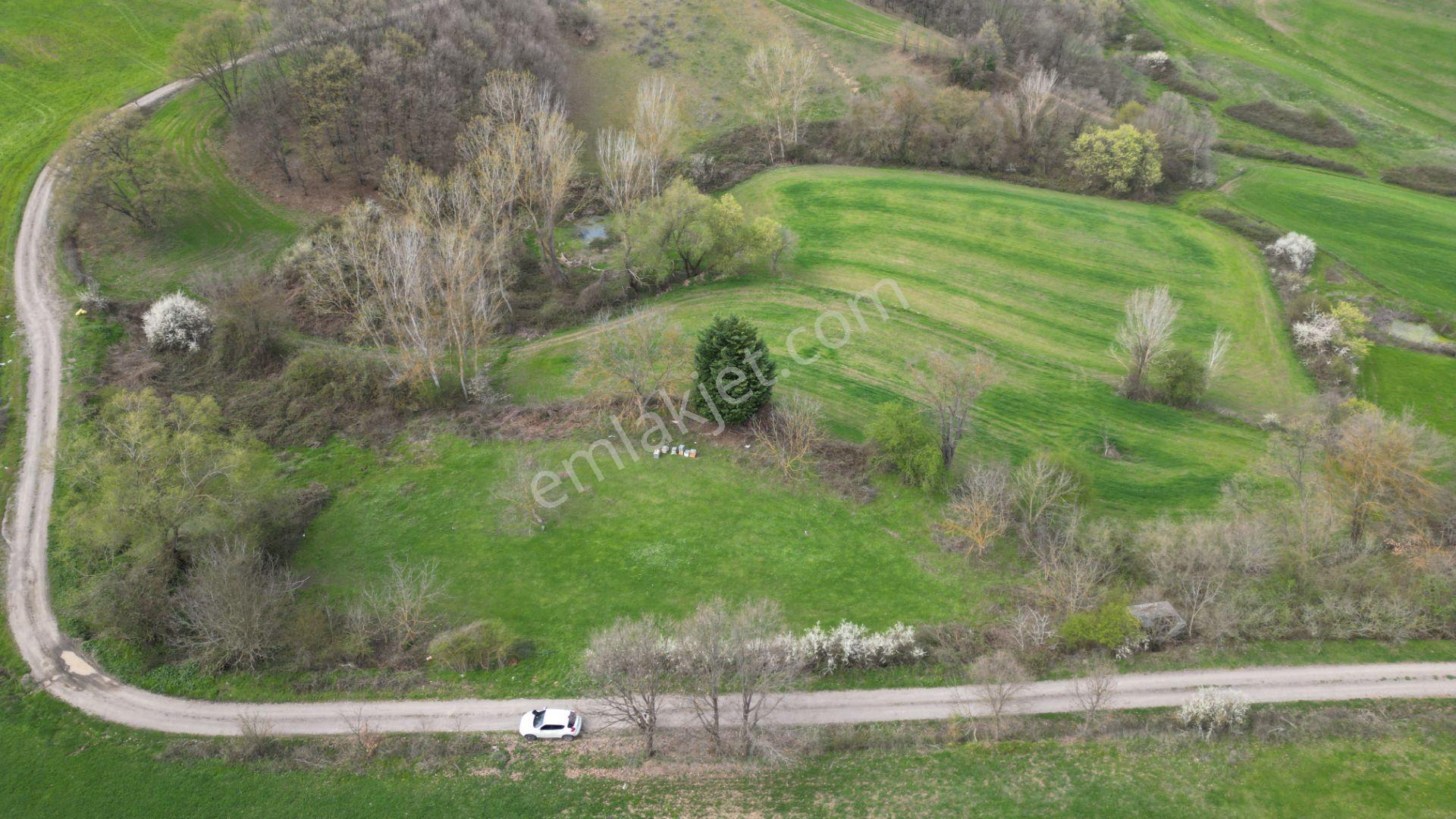 Kocaeli Karamürsel Semetler %5 İmarlı Satılık 3789 M2 Tarla - Görsel 6