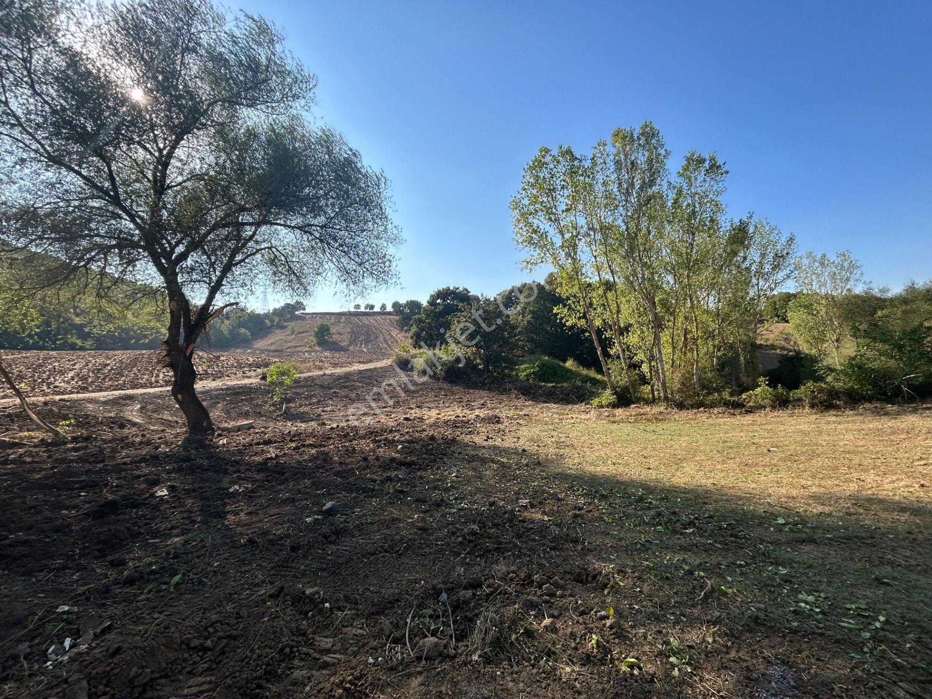 Kocaeli Karamürsel Semetler %5 İmarlı Satılık 3789 M2 Tarla - Görsel 17