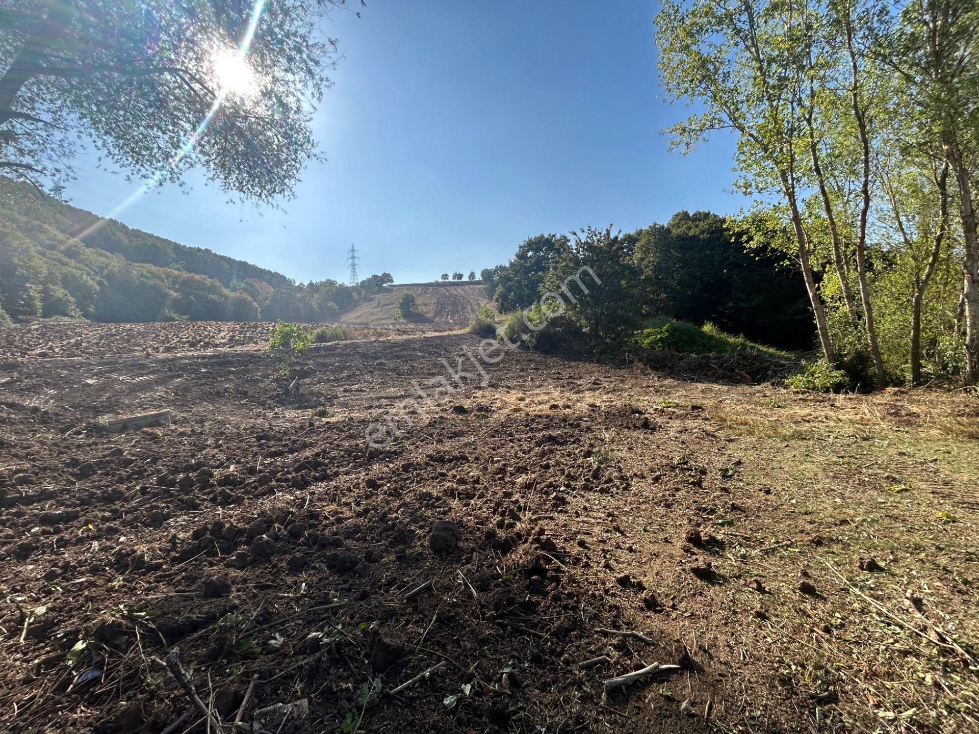 Kocaeli Karamürsel Semetler %5 İmarlı Satılık 3789 M2 Tarla - Görsel 19
