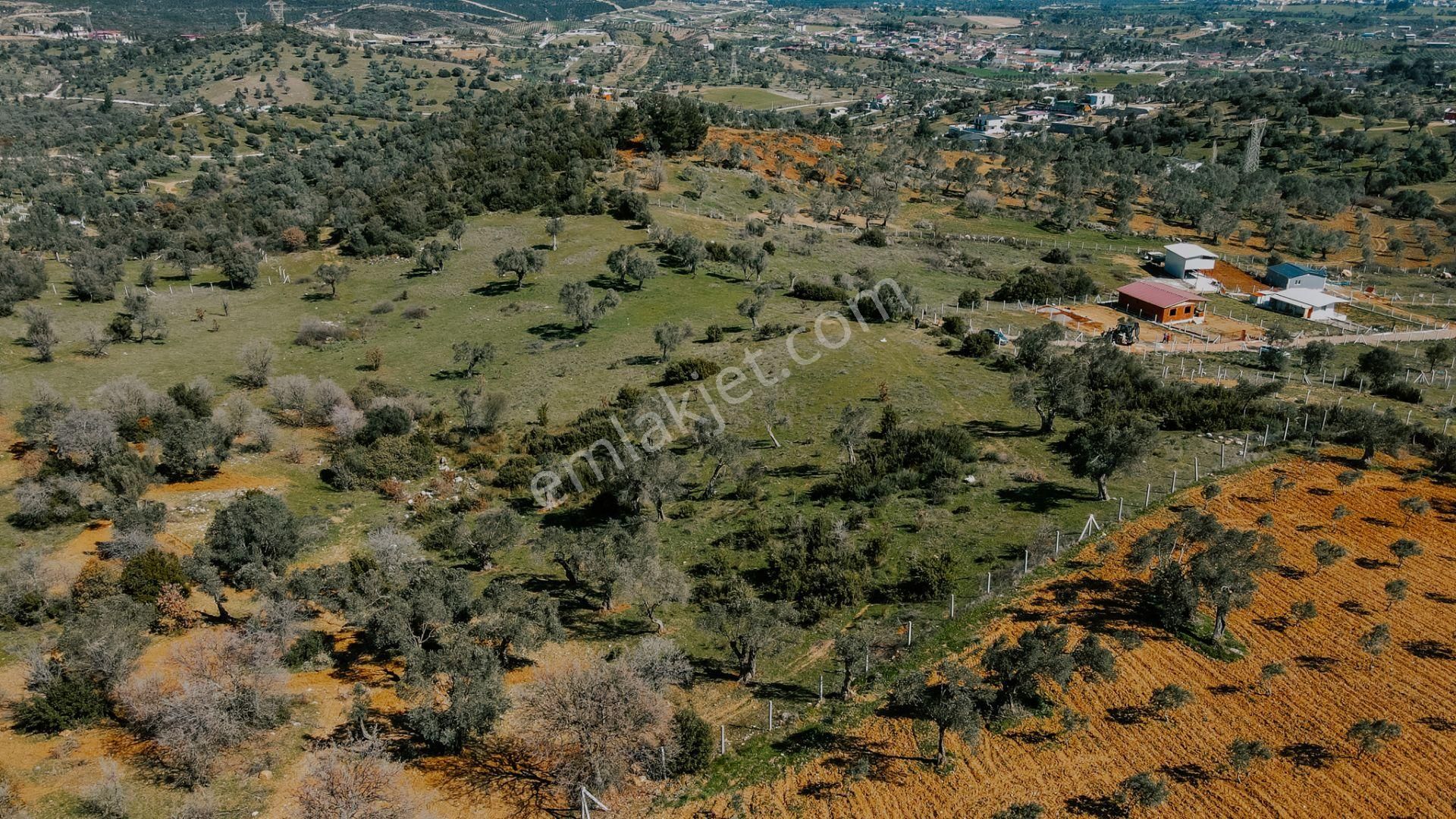 Menderes Akçaköy'de 13.303 M2 Mükemmel Lokasyon'da Fırsat Arazi - Görsel 4