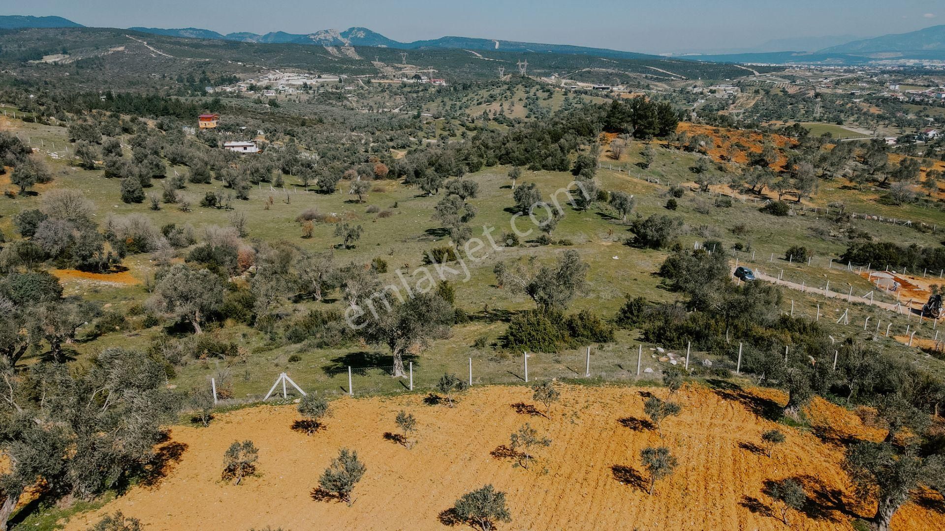 Menderes Akçaköy'de 13.303 M2 Mükemmel Lokasyon'da Fırsat Arazi - Görsel 31