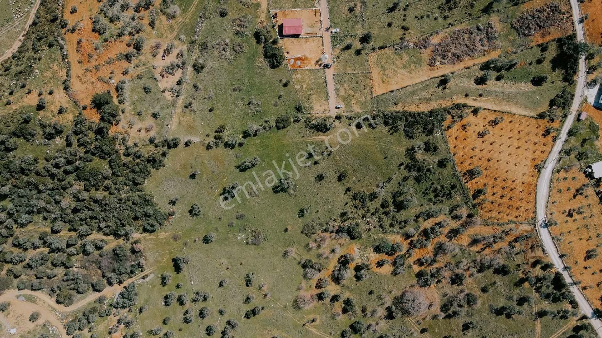 Menderes Akçaköy'de 13.303 M2 Mükemmel Lokasyon'da Fırsat Arazi - Görsel 3