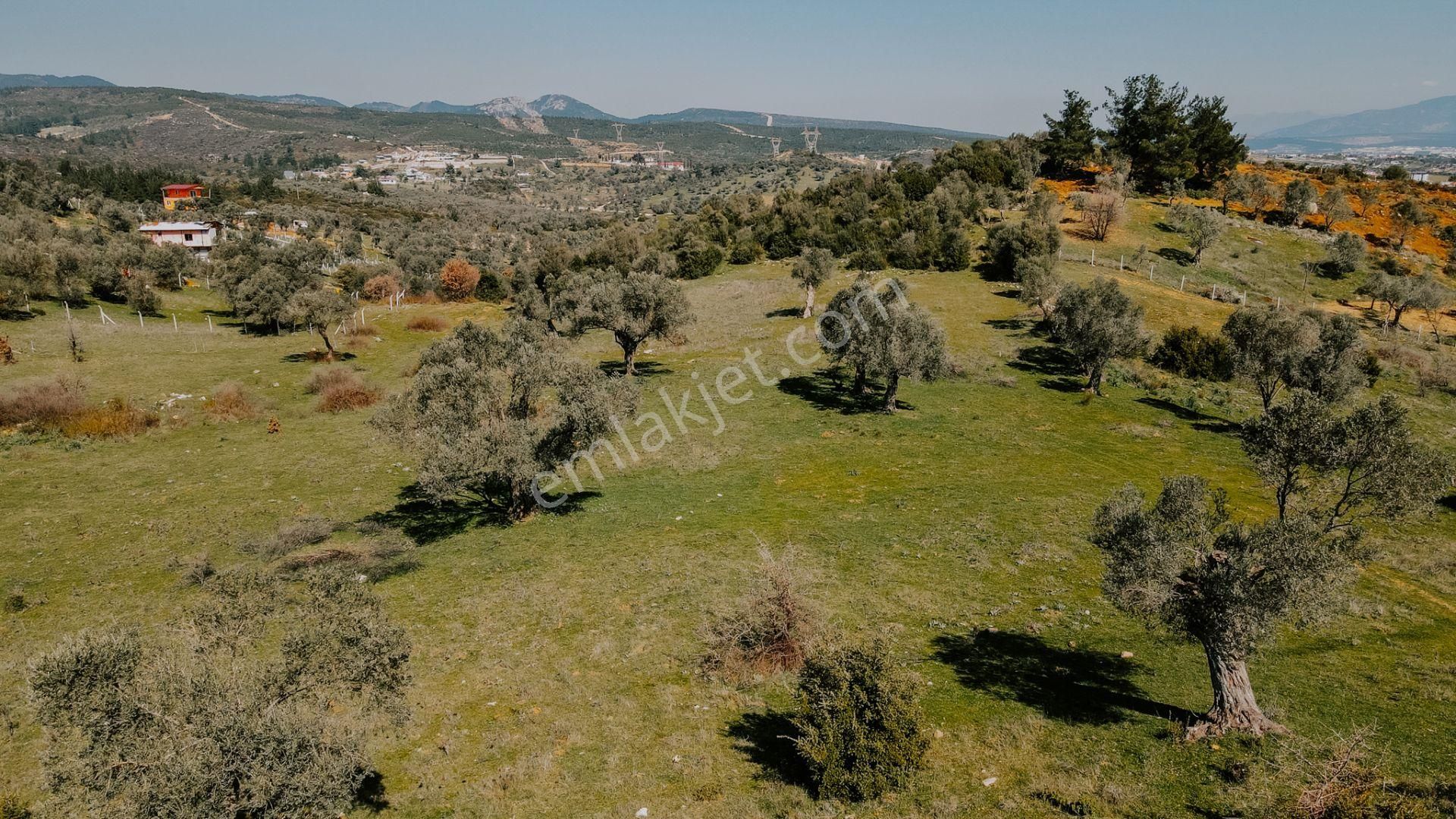 Menderes Akçaköy'de 13.303 M2 Mükemmel Lokasyon'da Fırsat Arazi - Görsel 7
