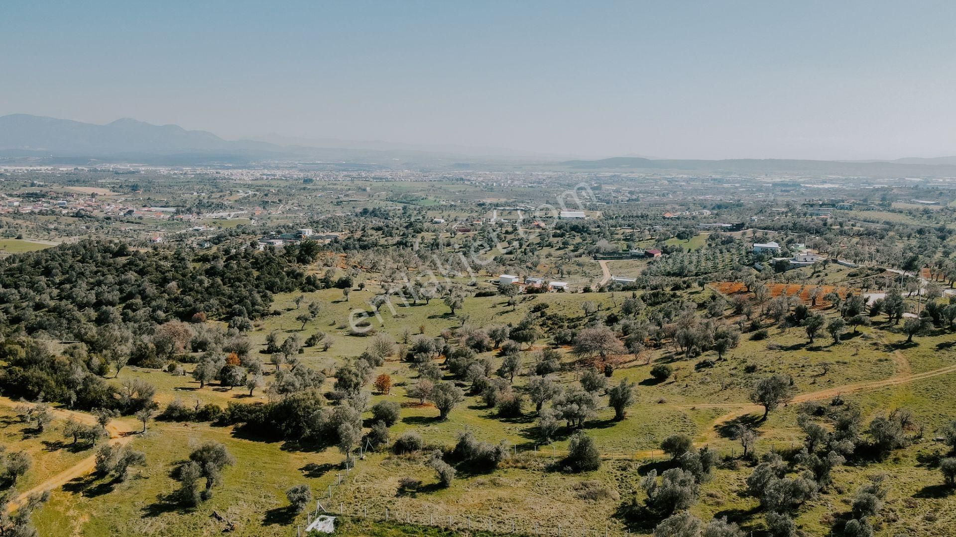 Menderes Akçaköy'de 13.303 M2 Mükemmel Lokasyon'da Fırsat Arazi - Görsel 21