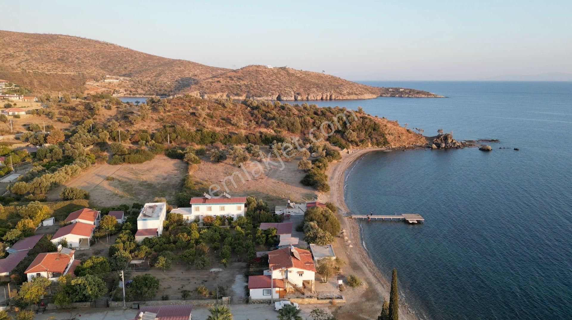 Muğla Bodrum Mazı Sahilinde 6747m² Denize Sıfır Muhteşem Arazi - Görsel 17