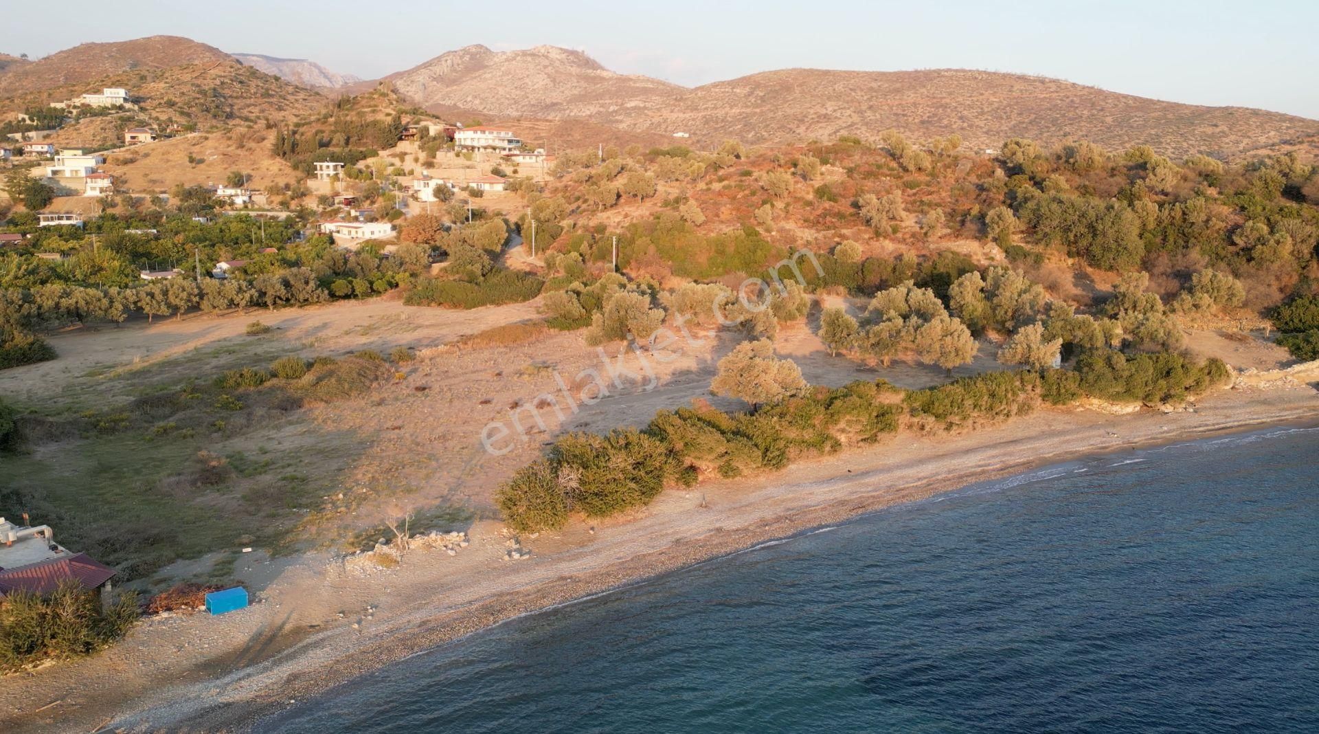 Muğla Bodrum Mazı Sahilinde 6747m² Denize Sıfır Muhteşem Arazi - Görsel 22