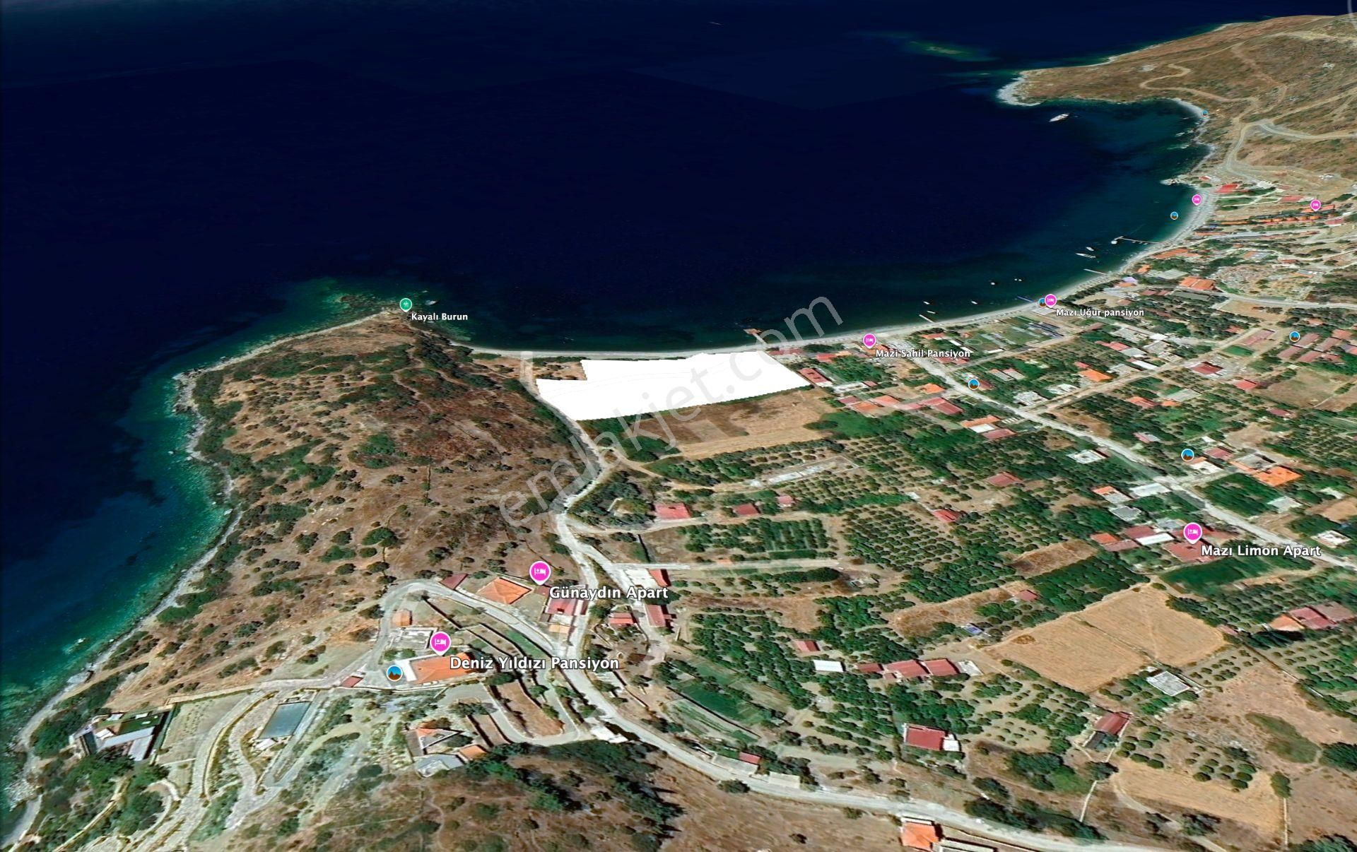 Muğla Bodrum Mazı Sahilinde 6747m² Denize Sıfır Muhteşem Arazi - Görsel 6