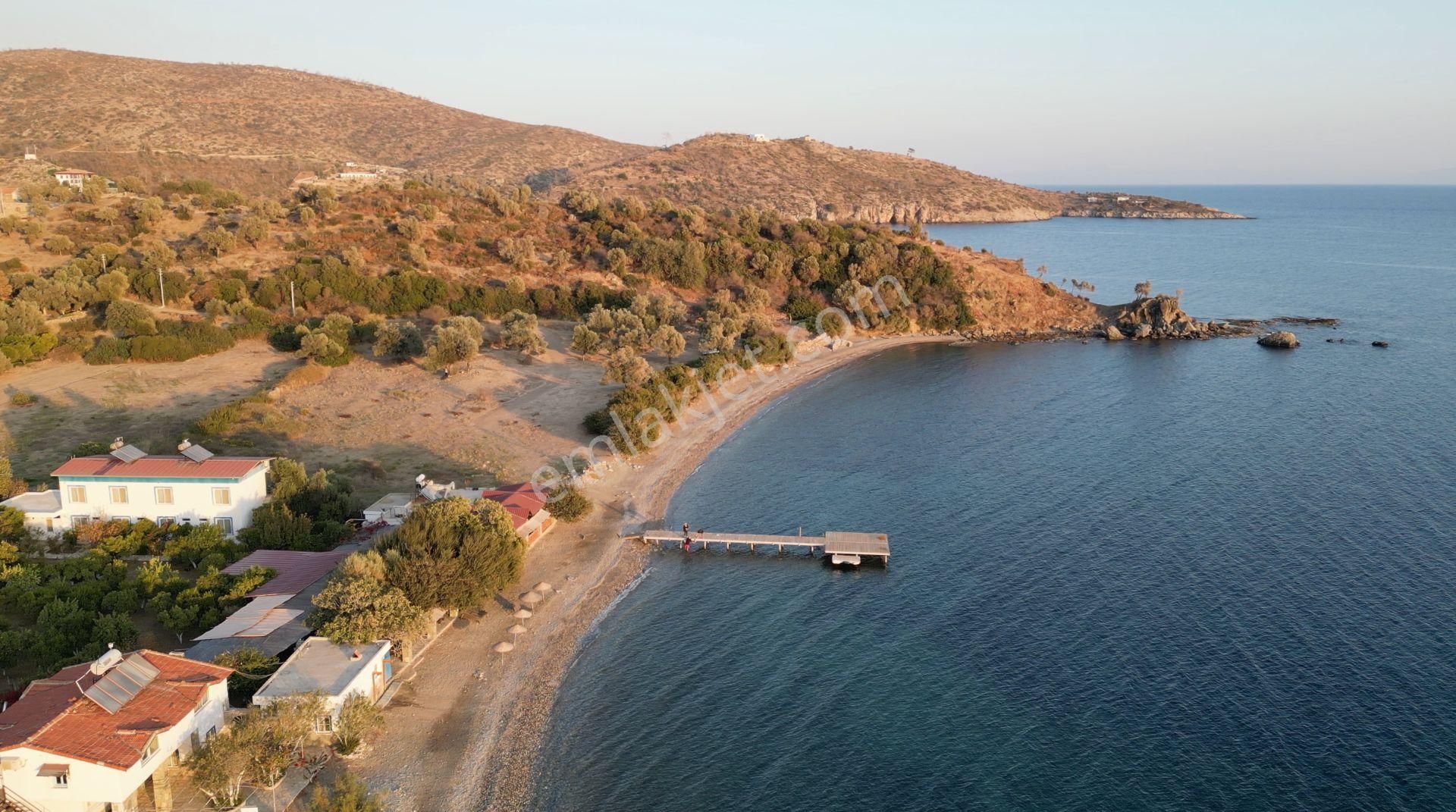 Muğla Bodrum Mazı Sahilinde 6747m² Denize Sıfır Muhteşem Arazi - Görsel 21