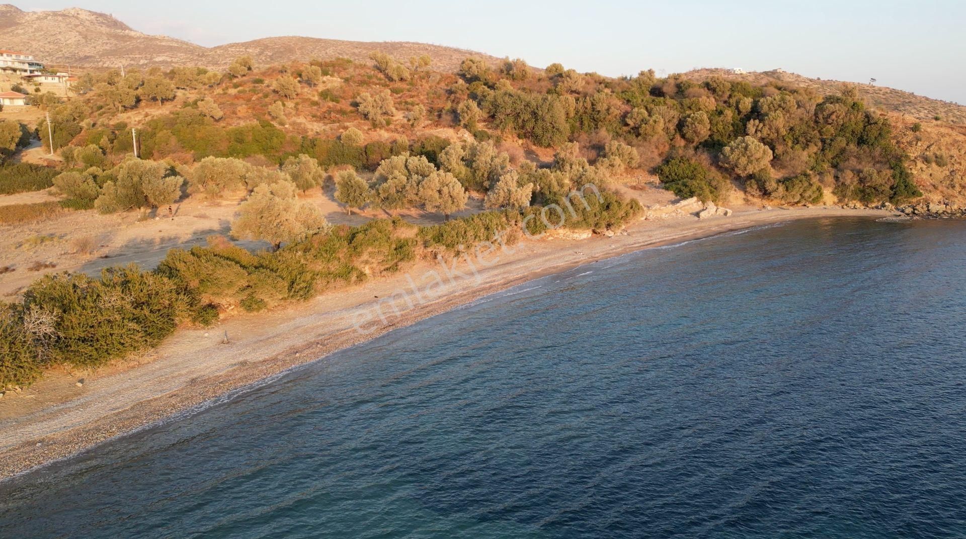 Muğla Bodrum Mazı Sahilinde 6747m² Denize Sıfır Muhteşem Arazi - Görsel 19