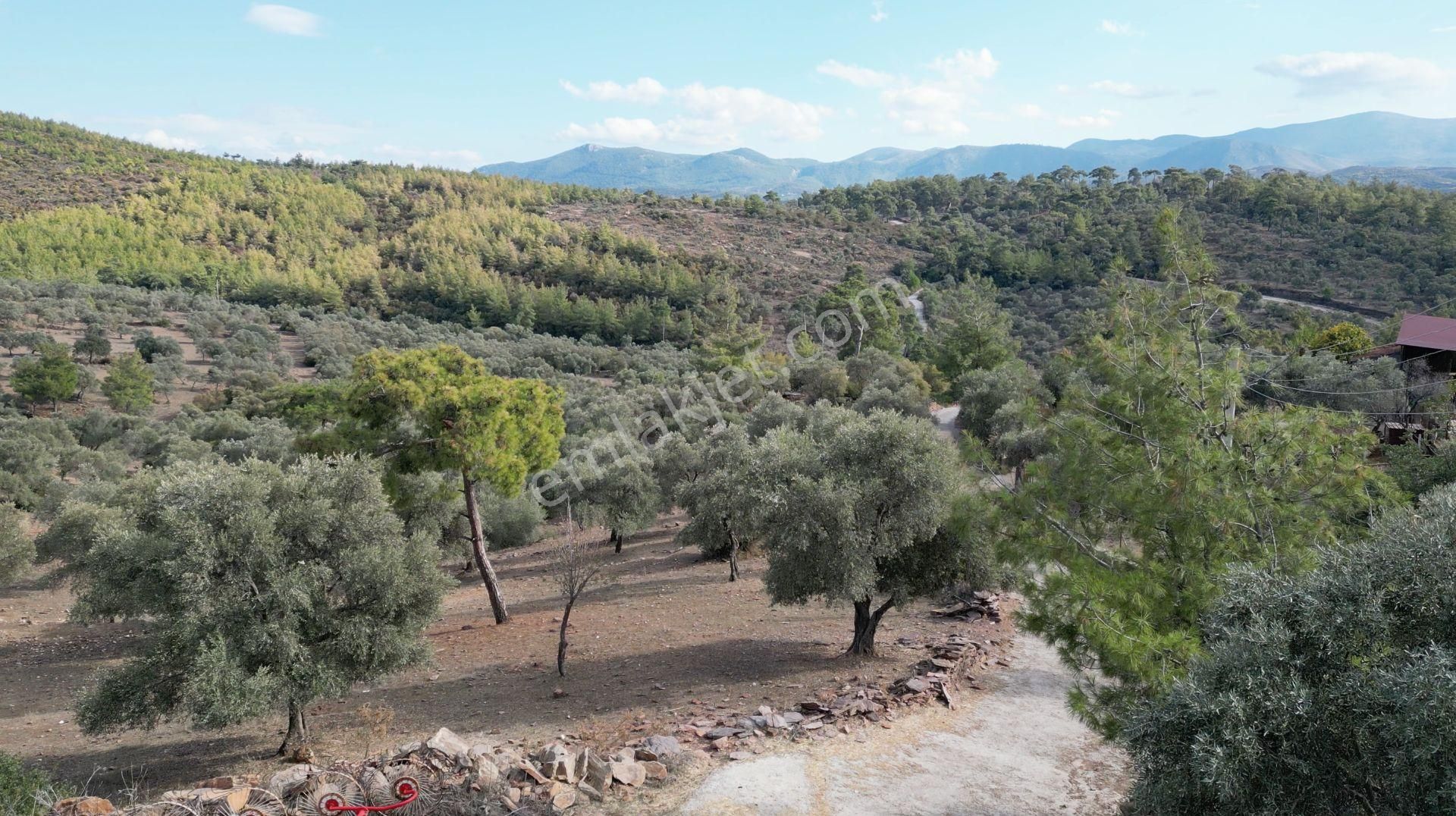 Muğla Bodrum Bahçeyakası'nda Anayola 105m Cepheli 6.186m² Arazi - Görsel 17