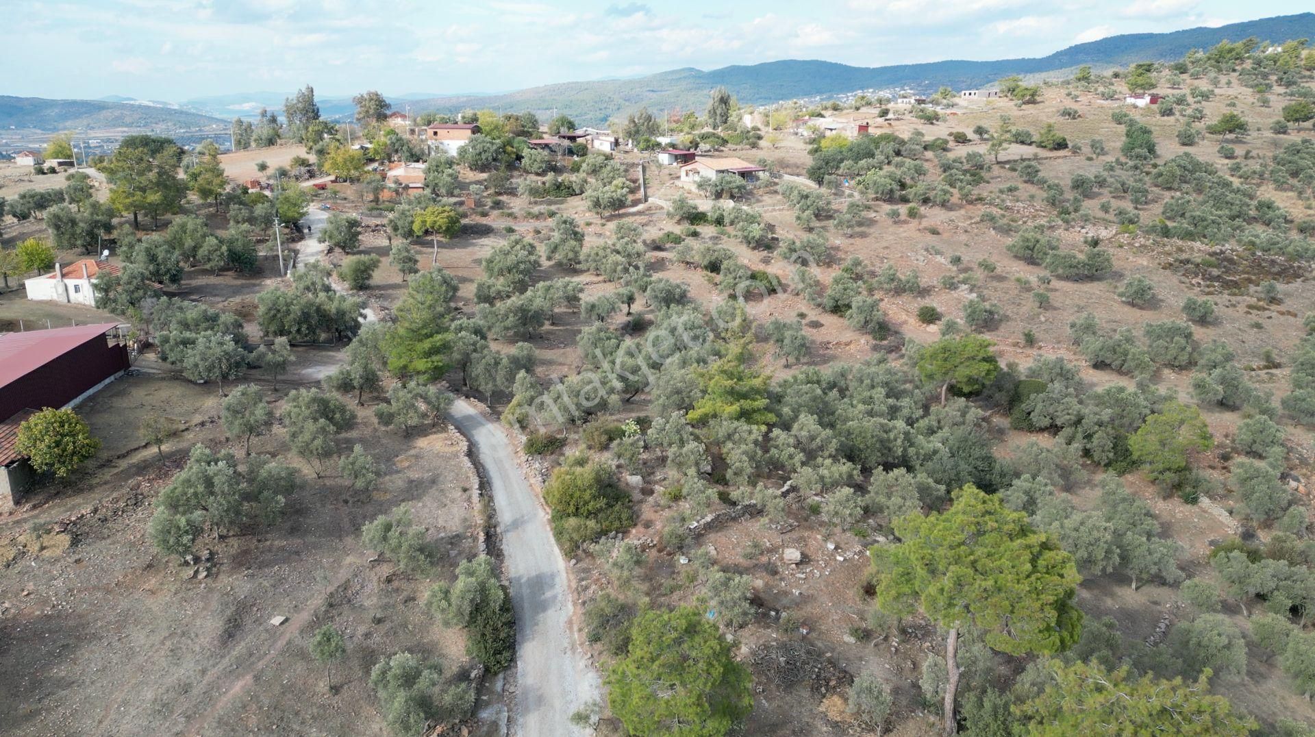 Muğla Bodrum Bahçeyakası'nda Anayola 105m Cepheli 6.186m² Arazi - Görsel 2