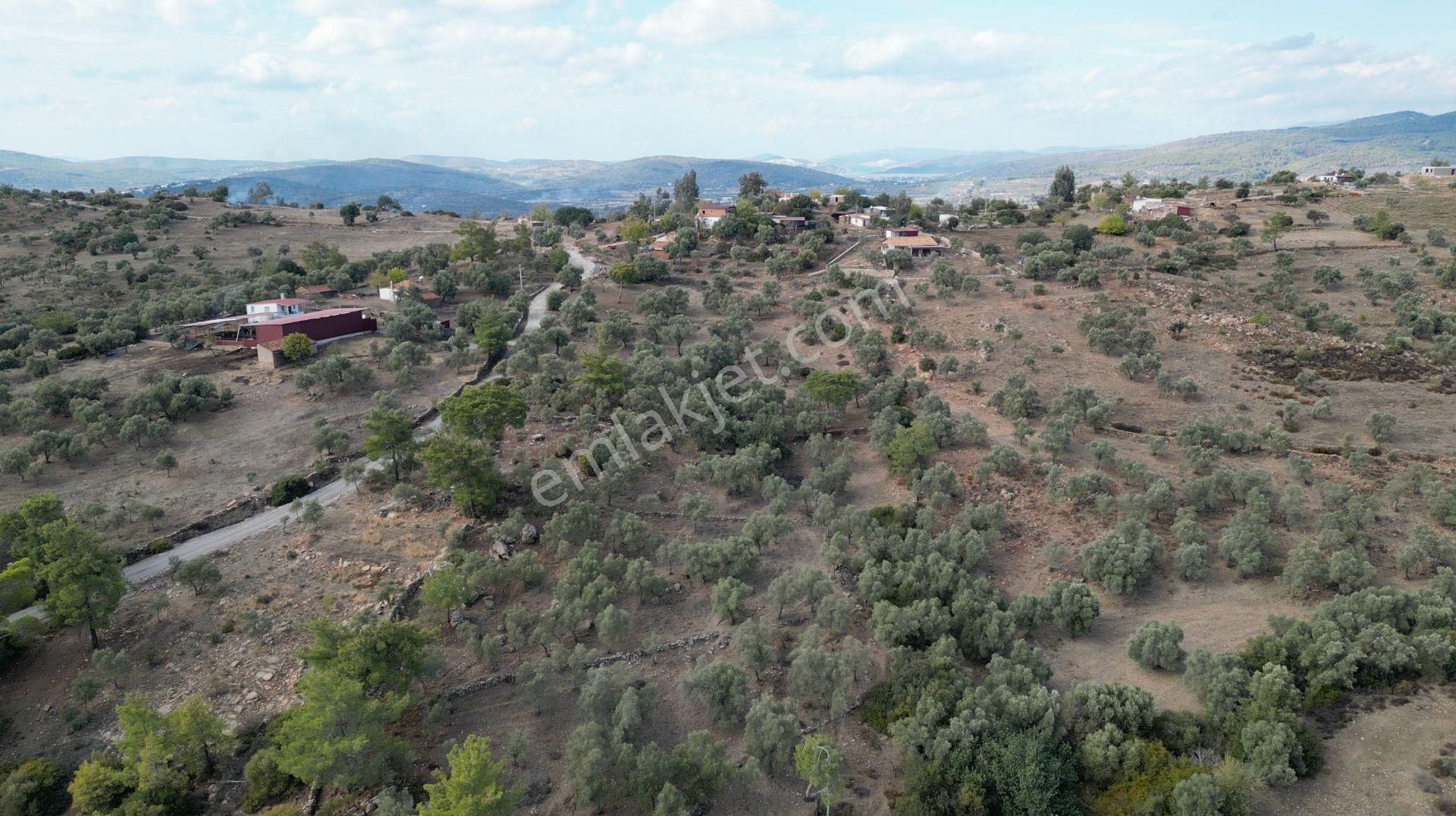 Muğla Bodrum Bahçeyakası'nda Anayola 105m Cepheli 6.186m² Arazi - Görsel 14